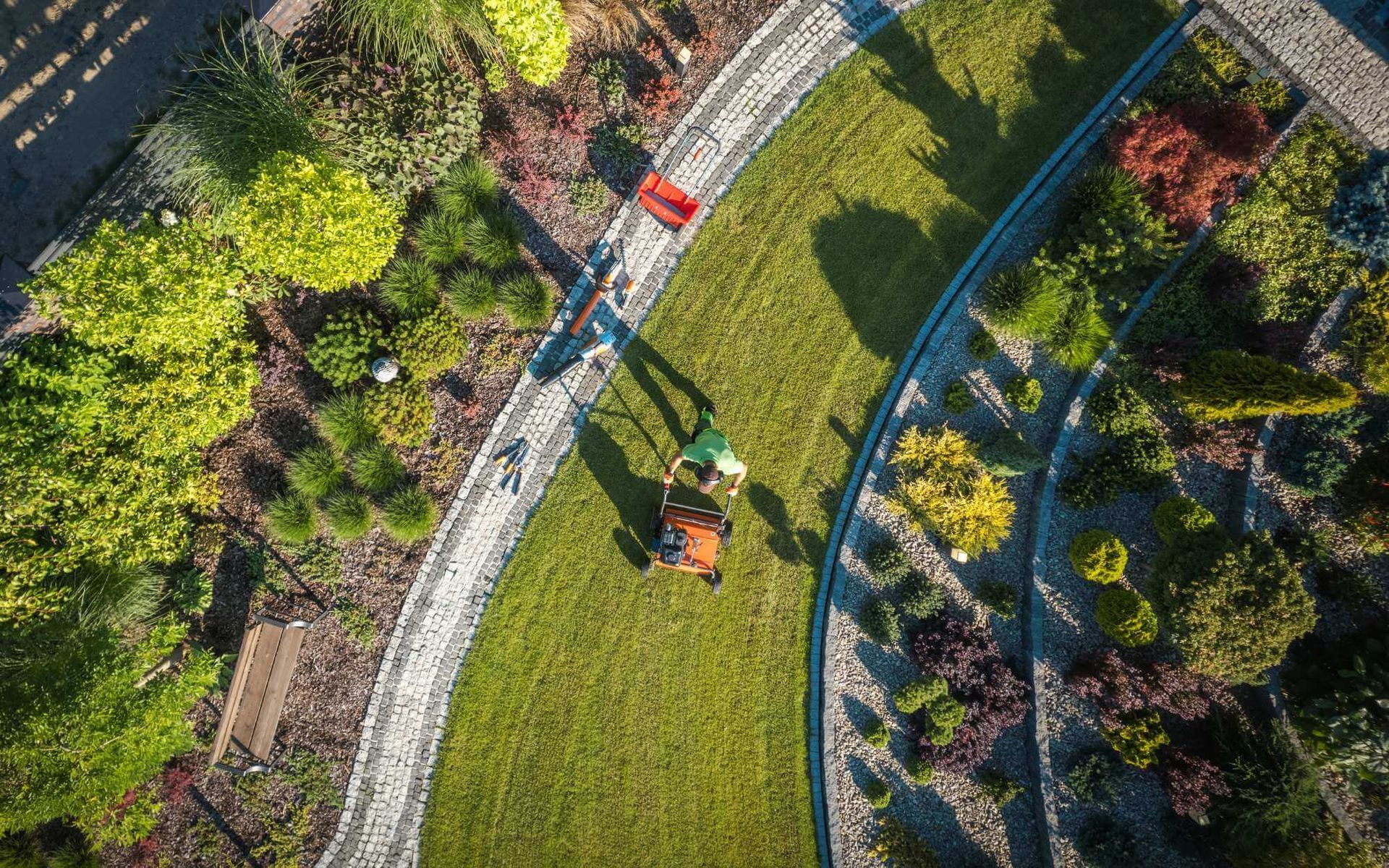 aerating the soil in a garden filled with trees and shrubs
