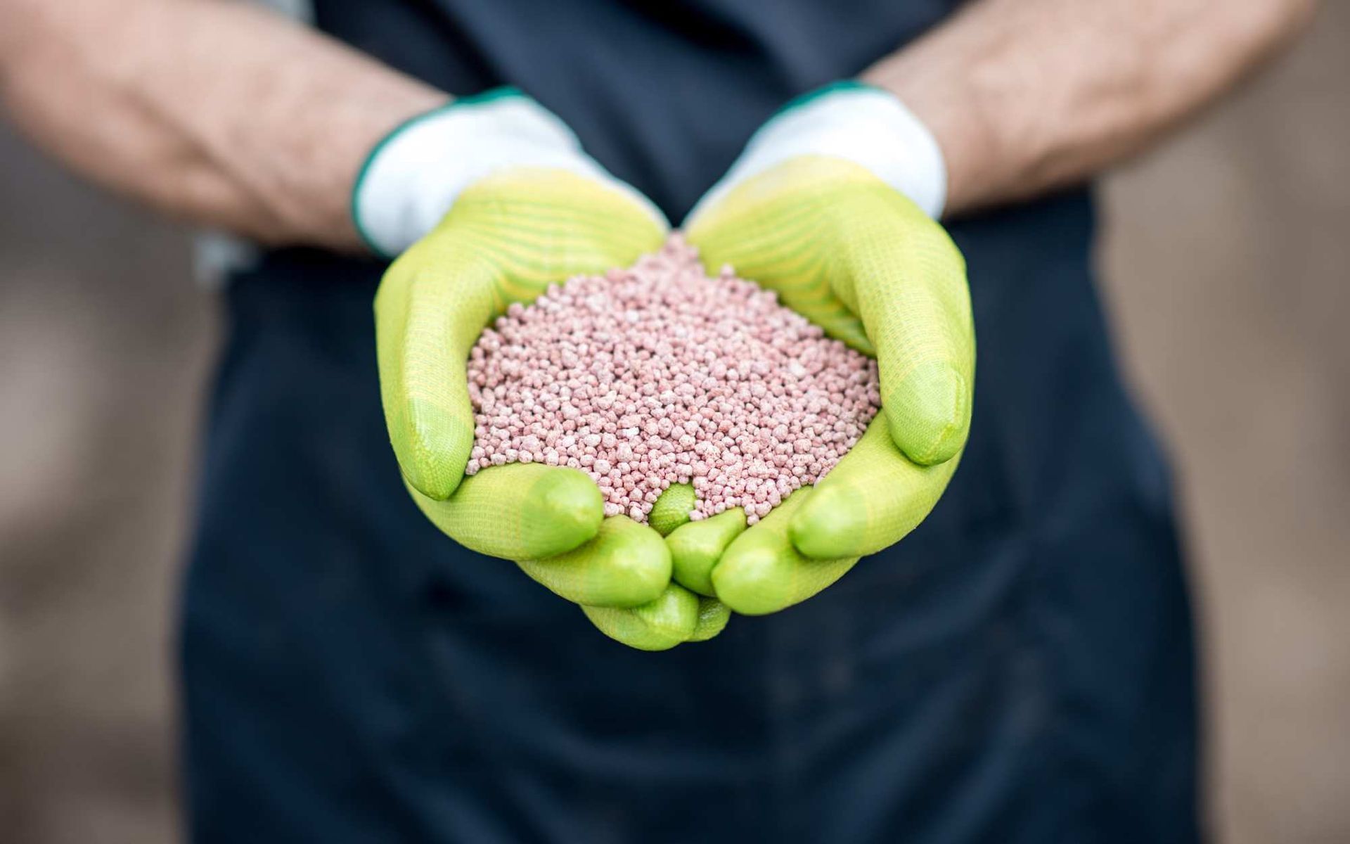 mineral tree fertilizers