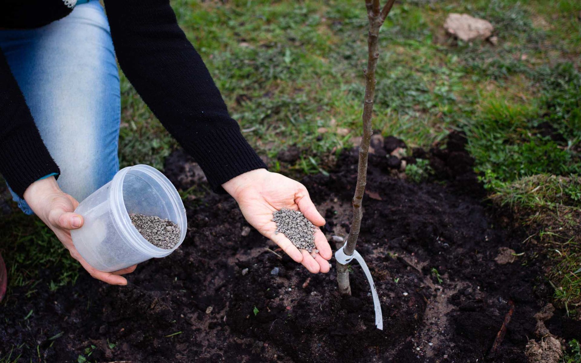 applying the right amount of fertilizer