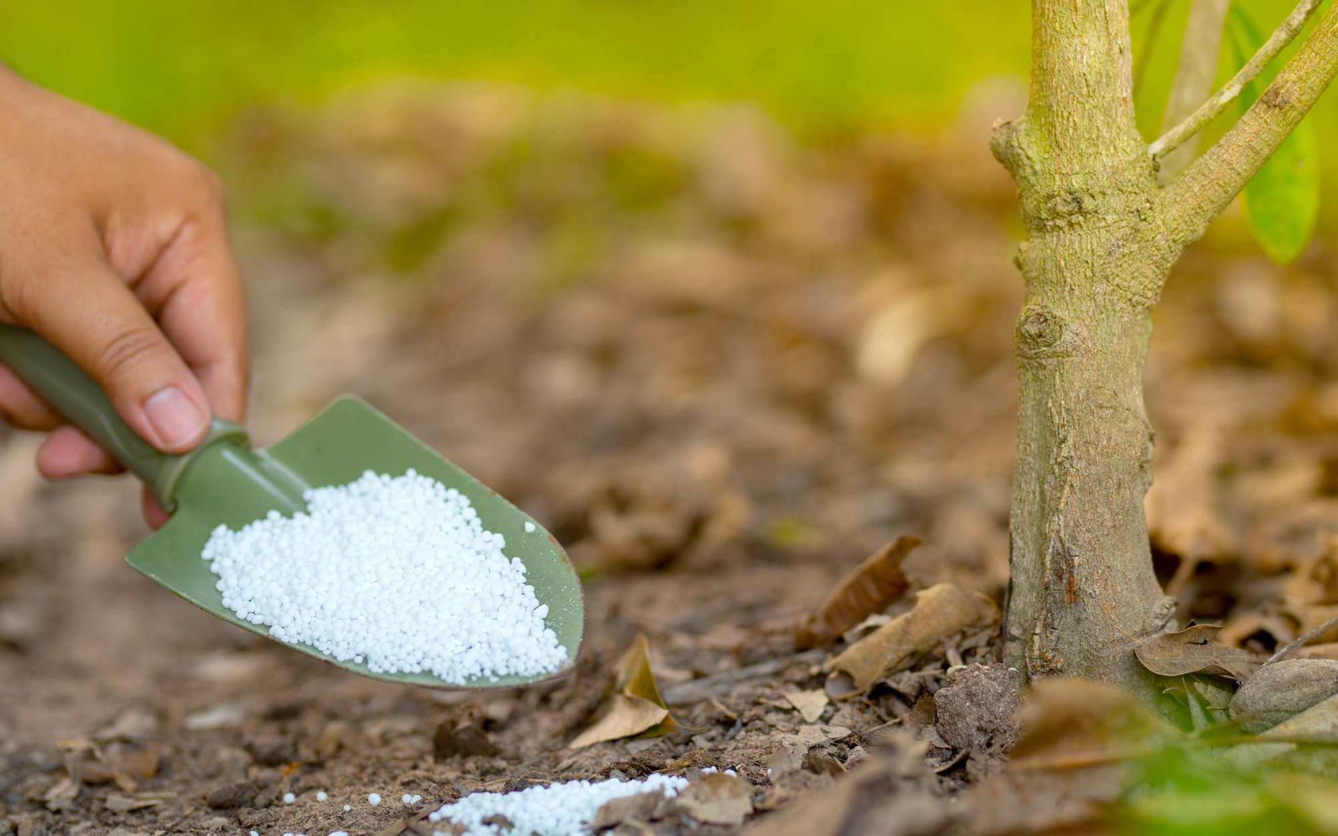 inorganic fertilizer