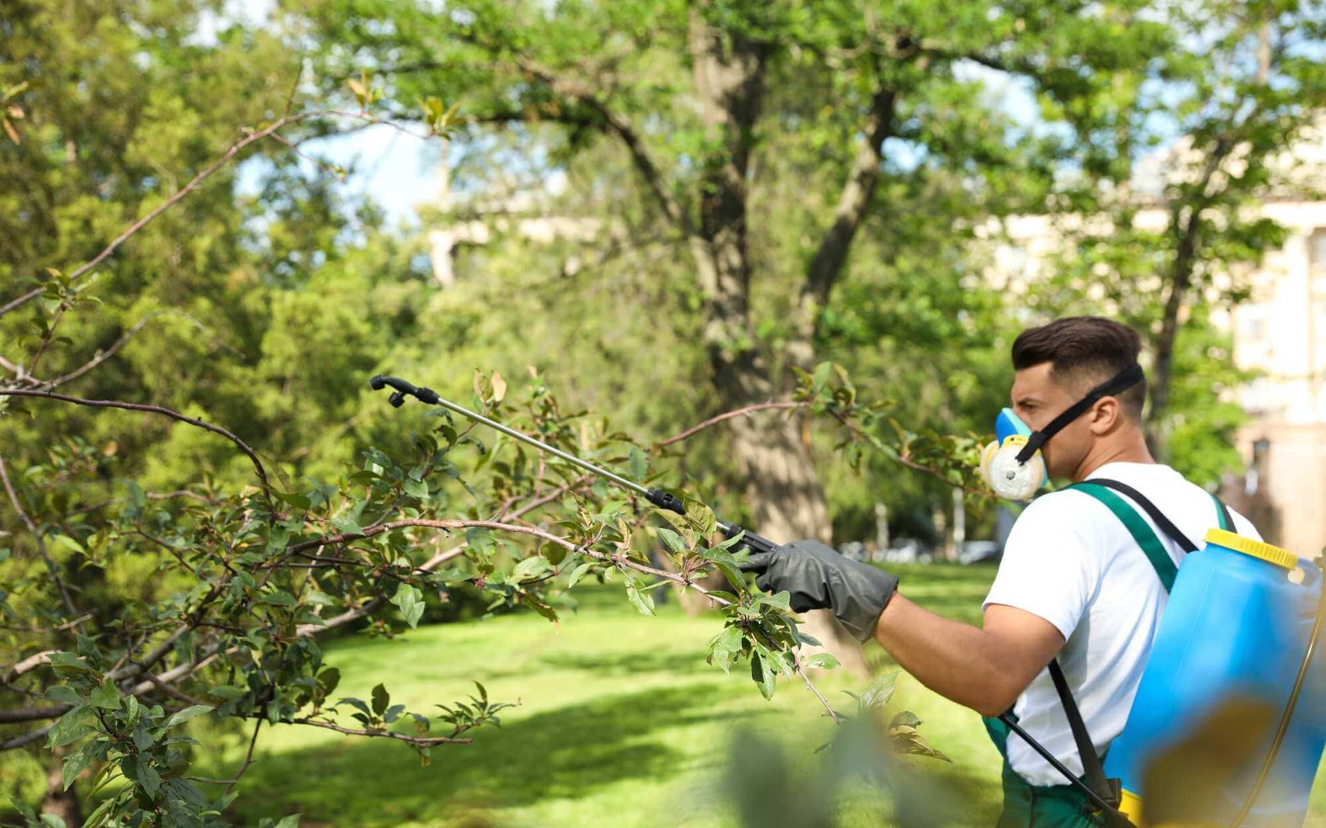 professional orchard disease management