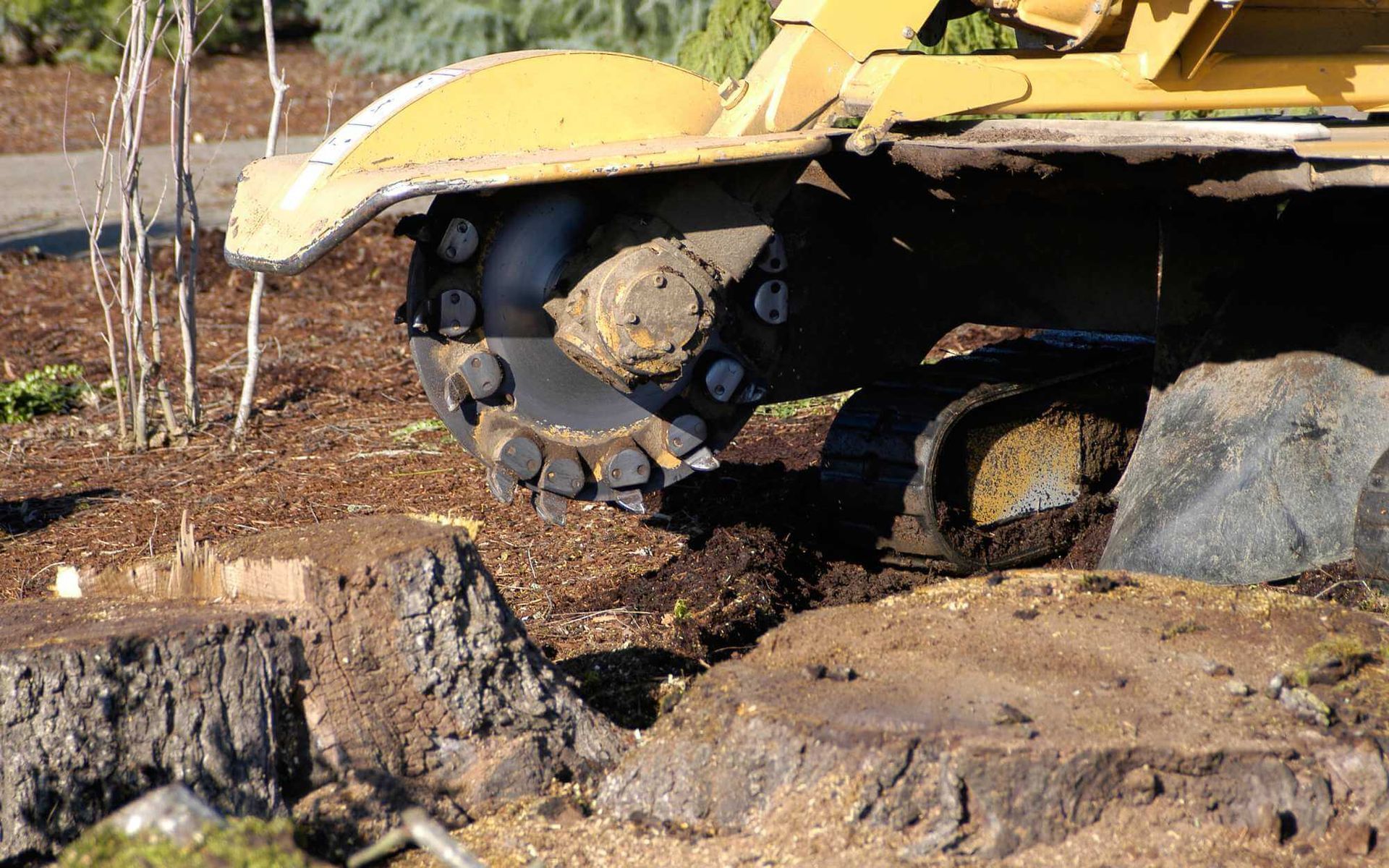 stump grinding machine operated by a professional at Real Tree Trimming and Landscaping, Inc.