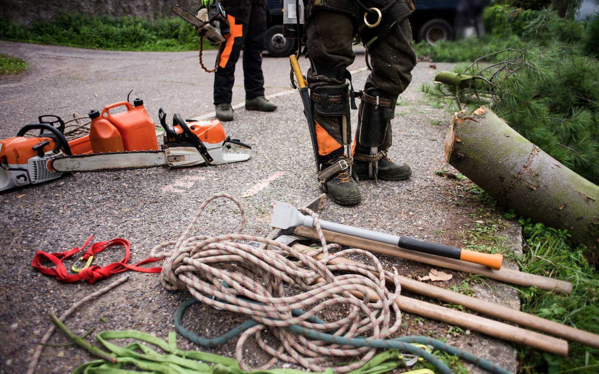 tools used in emergency tree removal services