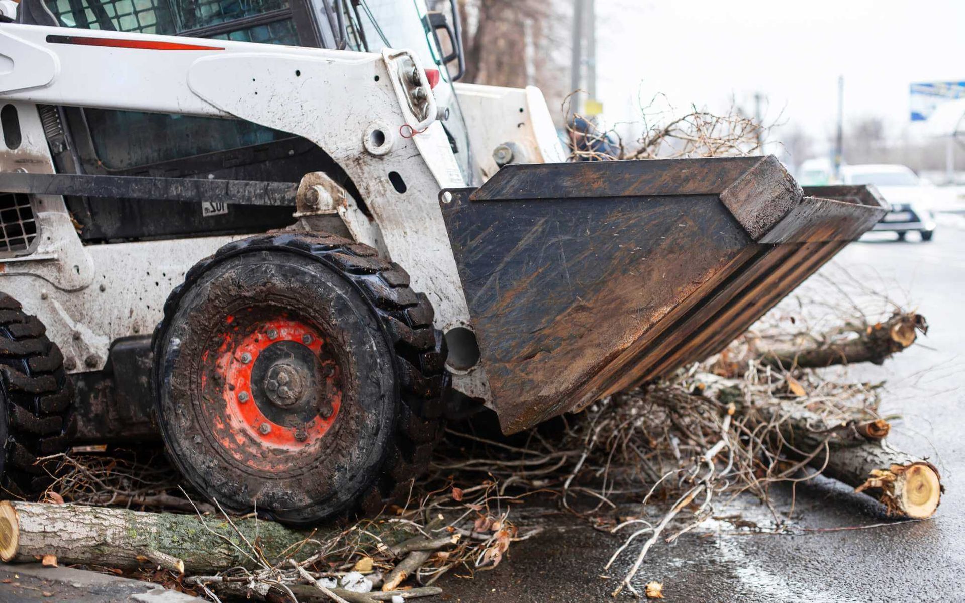 removal of tree debris blocking the road