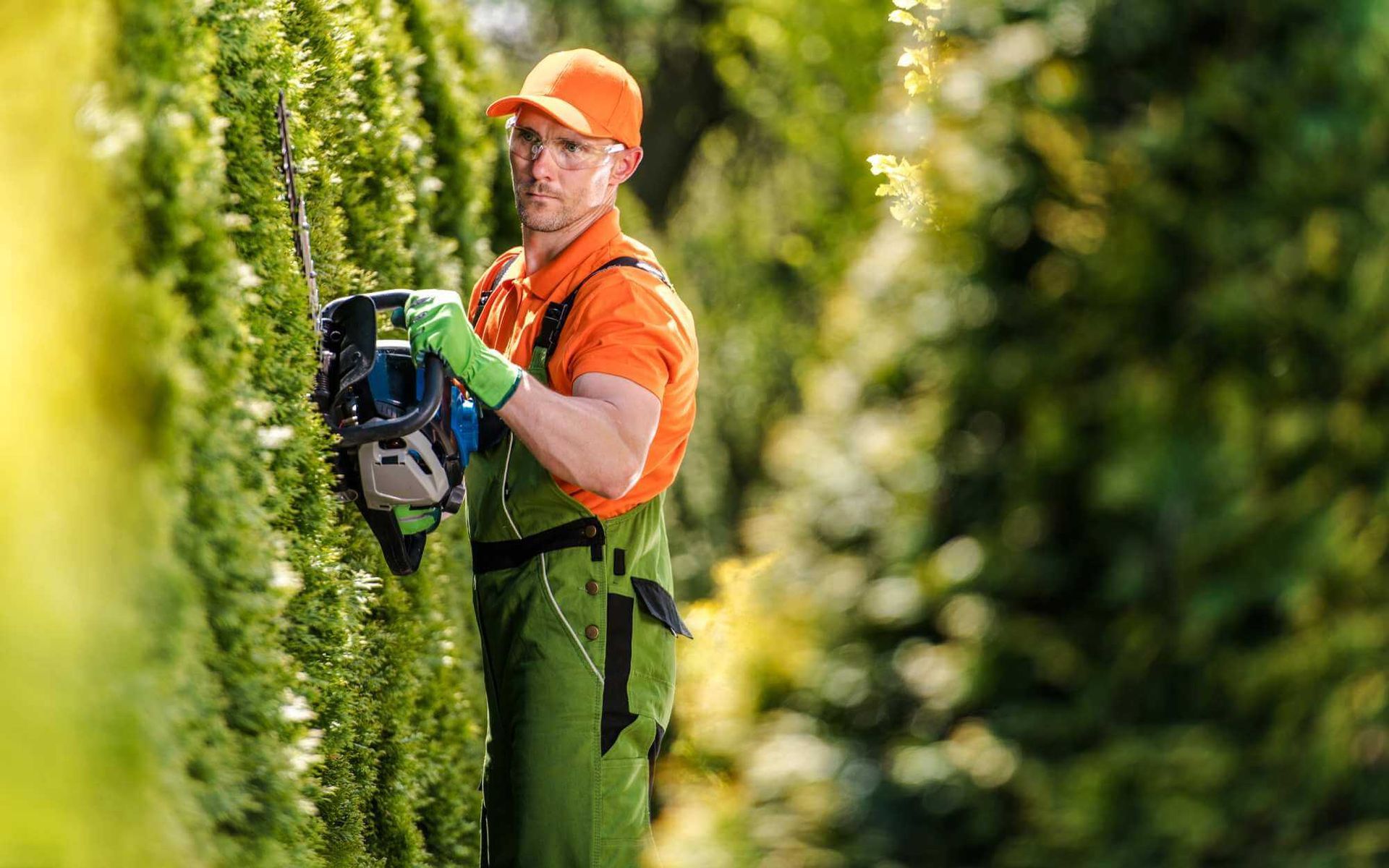spring tree pruning in Boca Raton, FL