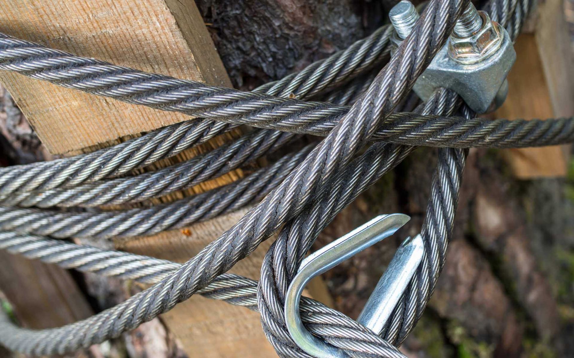 tree cabling technique