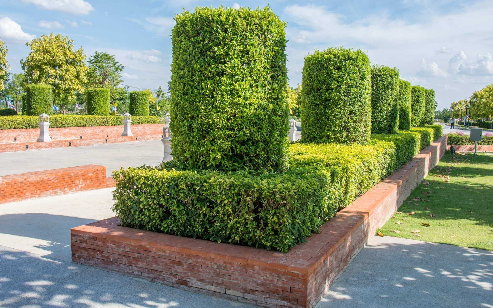 shaped shrubbery grown in the entryway of a residential property in Boca Raton