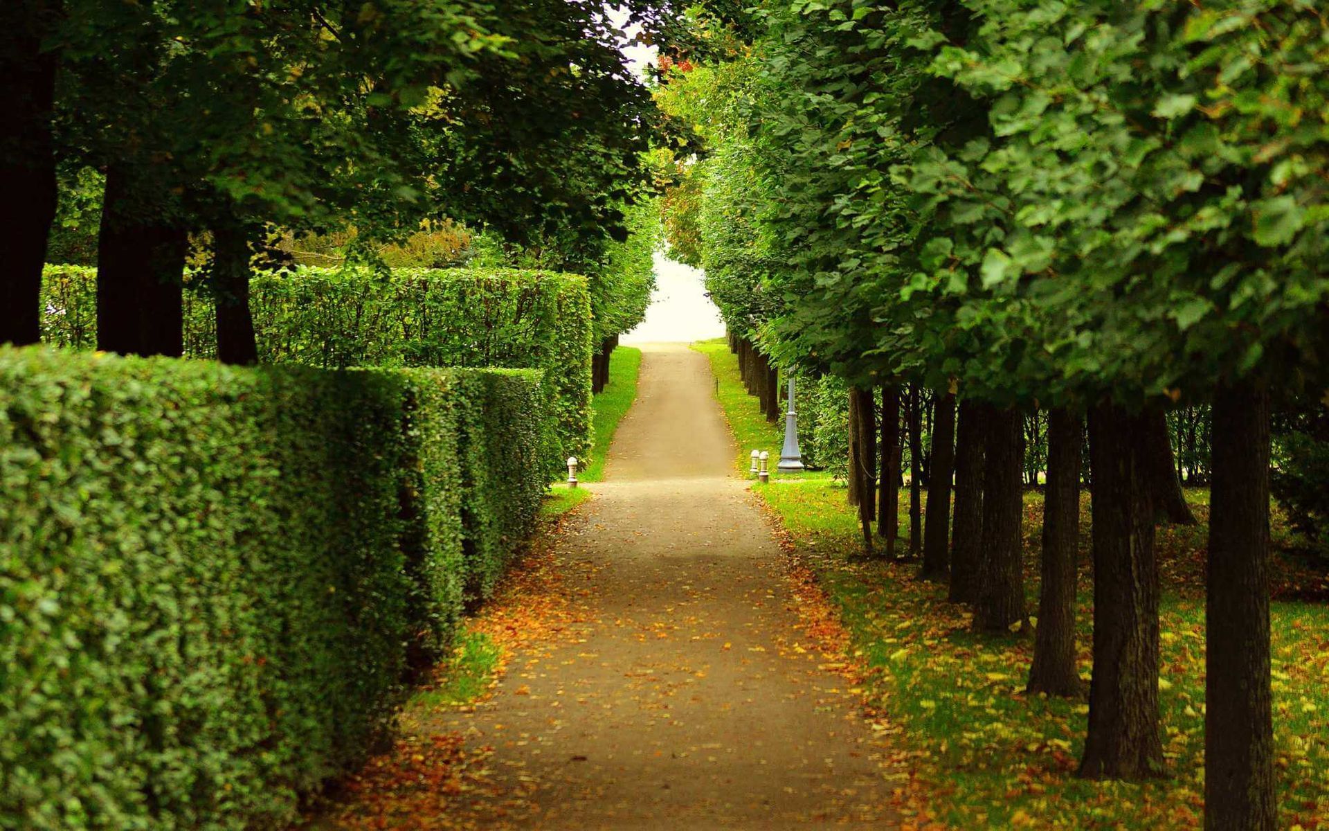 private property entryway filled with shaped trees