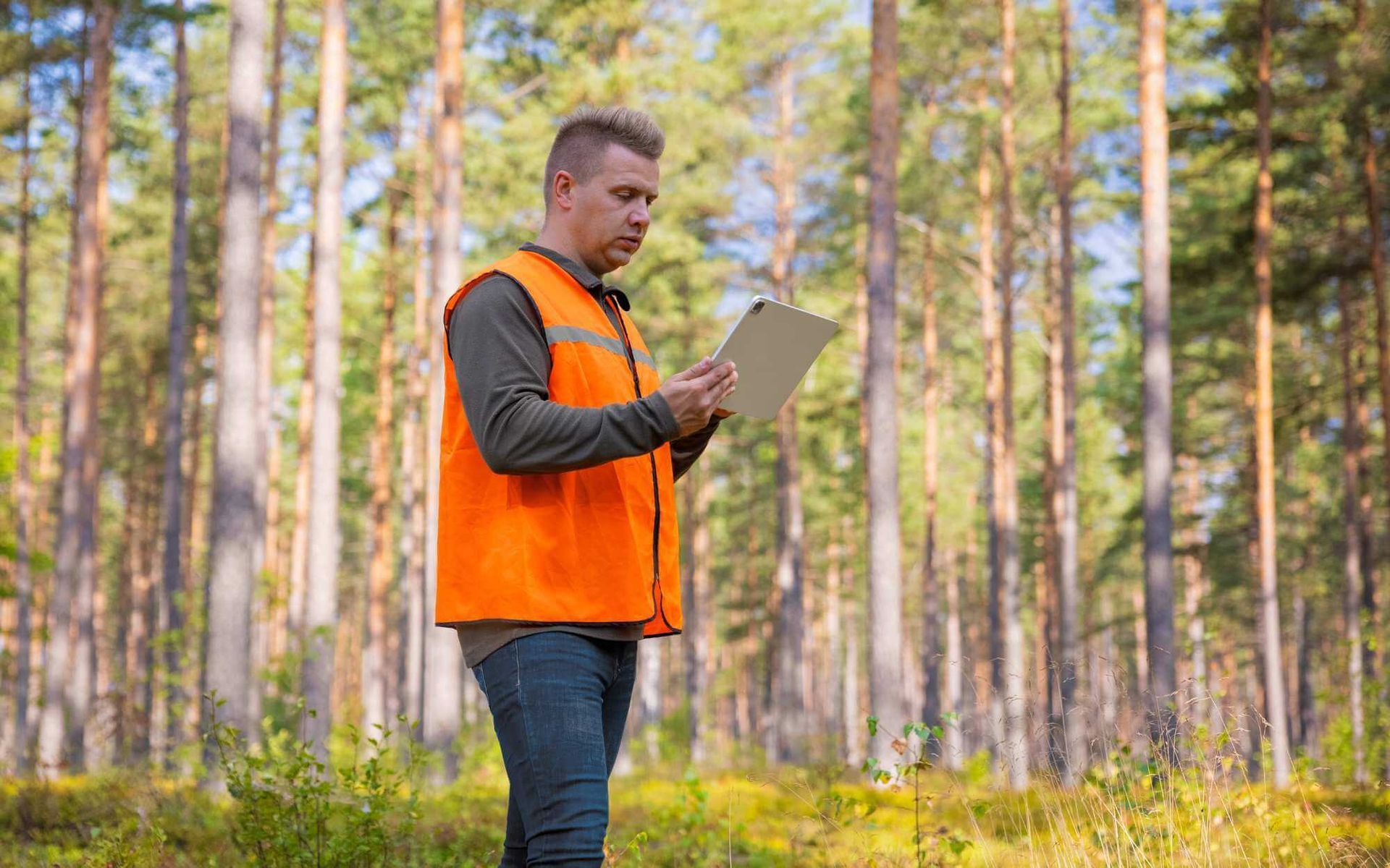 Strategic Tree Preservation Planning for Construction