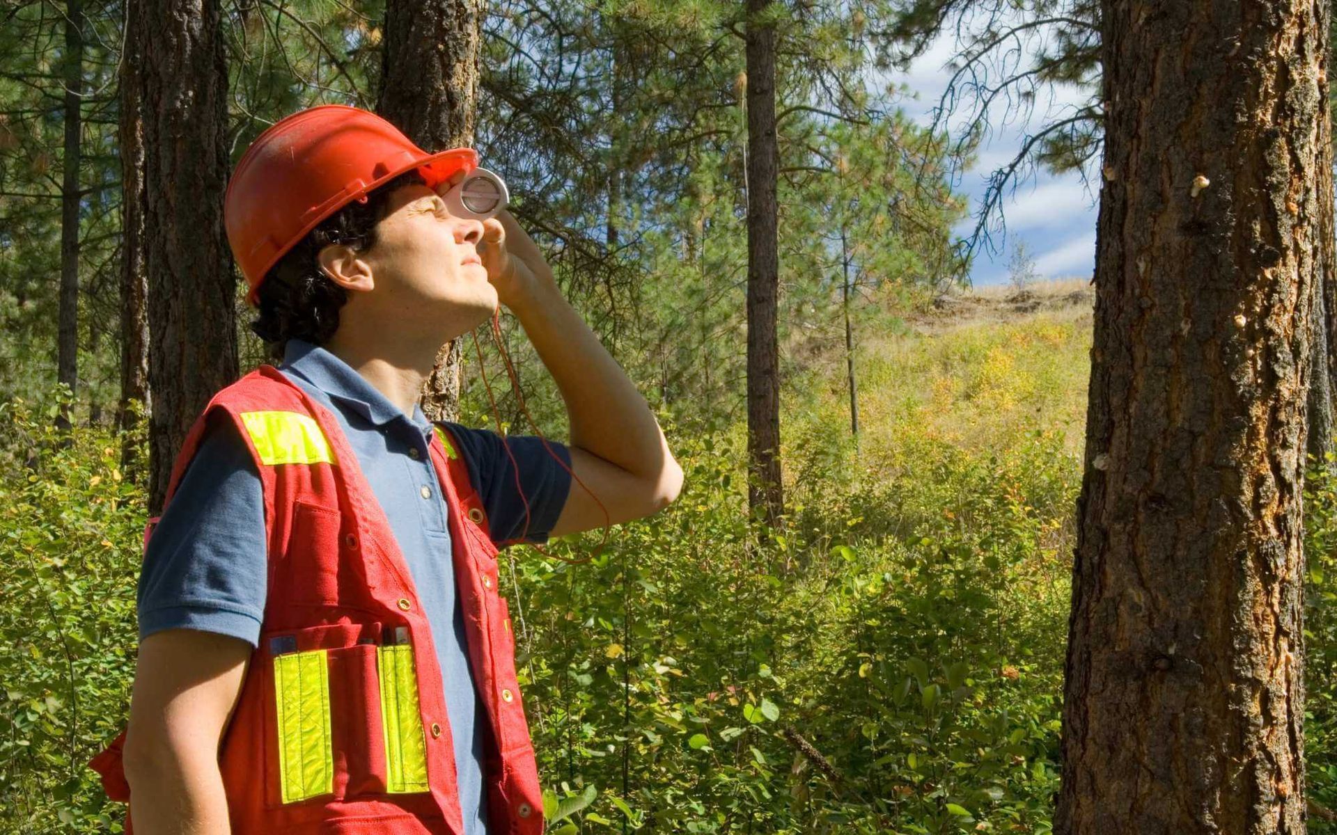 site assessment and tree inventory