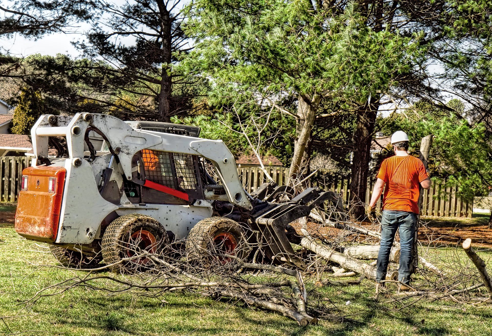 bobcat being used by the real tree team to clear a lot in Naples FL