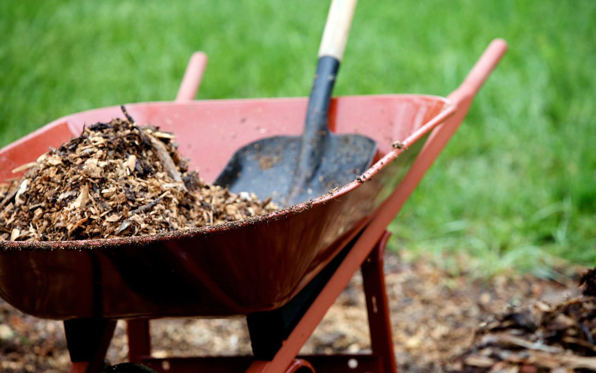 mulch to help boost root system health