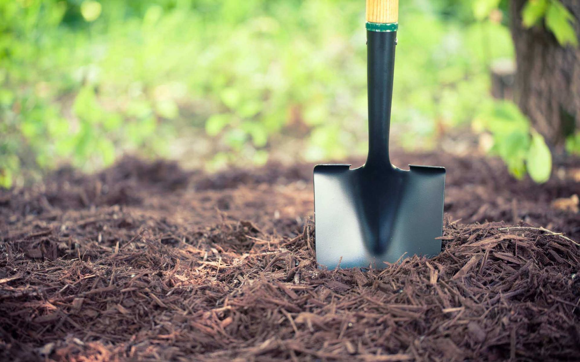 mulching in preparation for the coldest months
