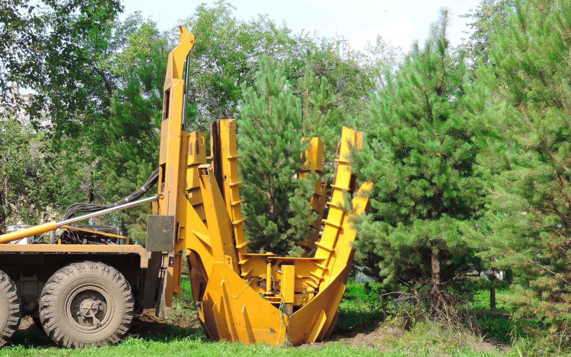 a tree transplanter is used to move mature trees. a Real Tree Team contractor is operating the machinery