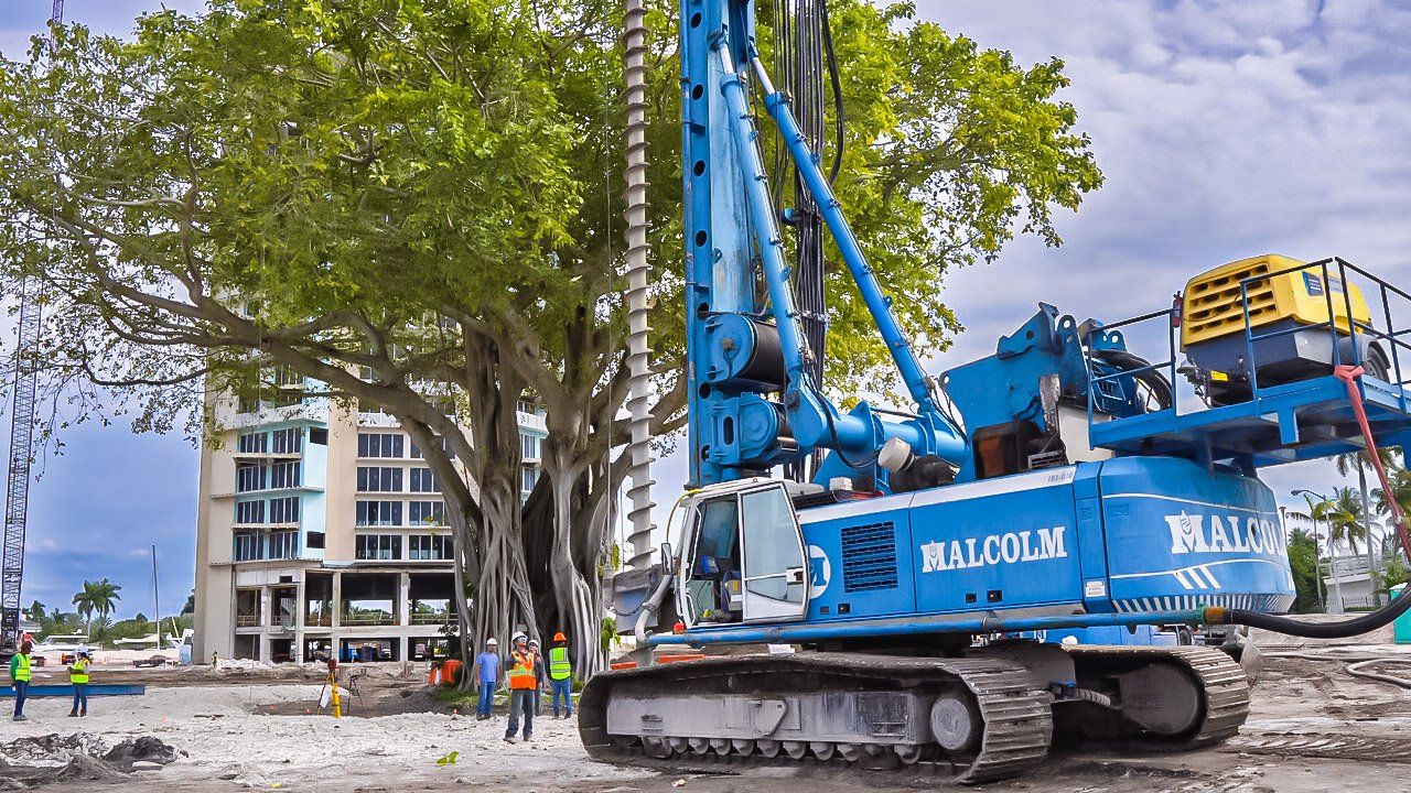 arborists collaborating with contractors to carefully assess the site for building projects