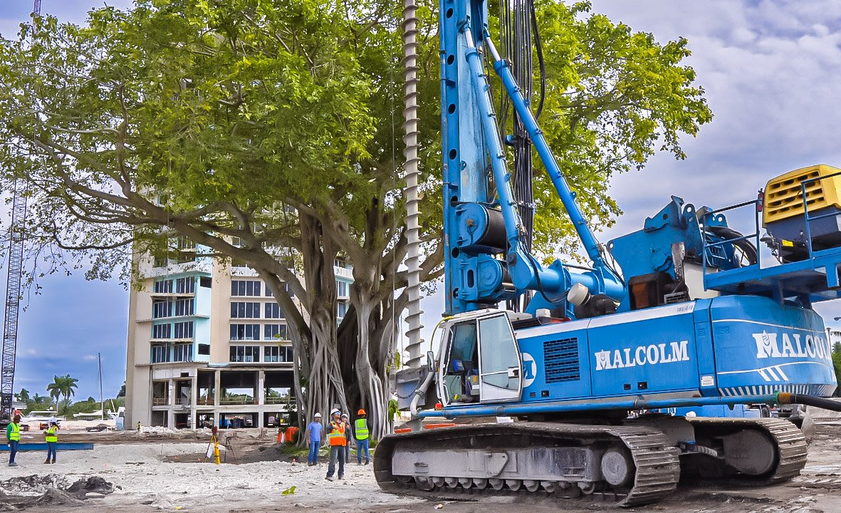 arborist consulting services in a development site