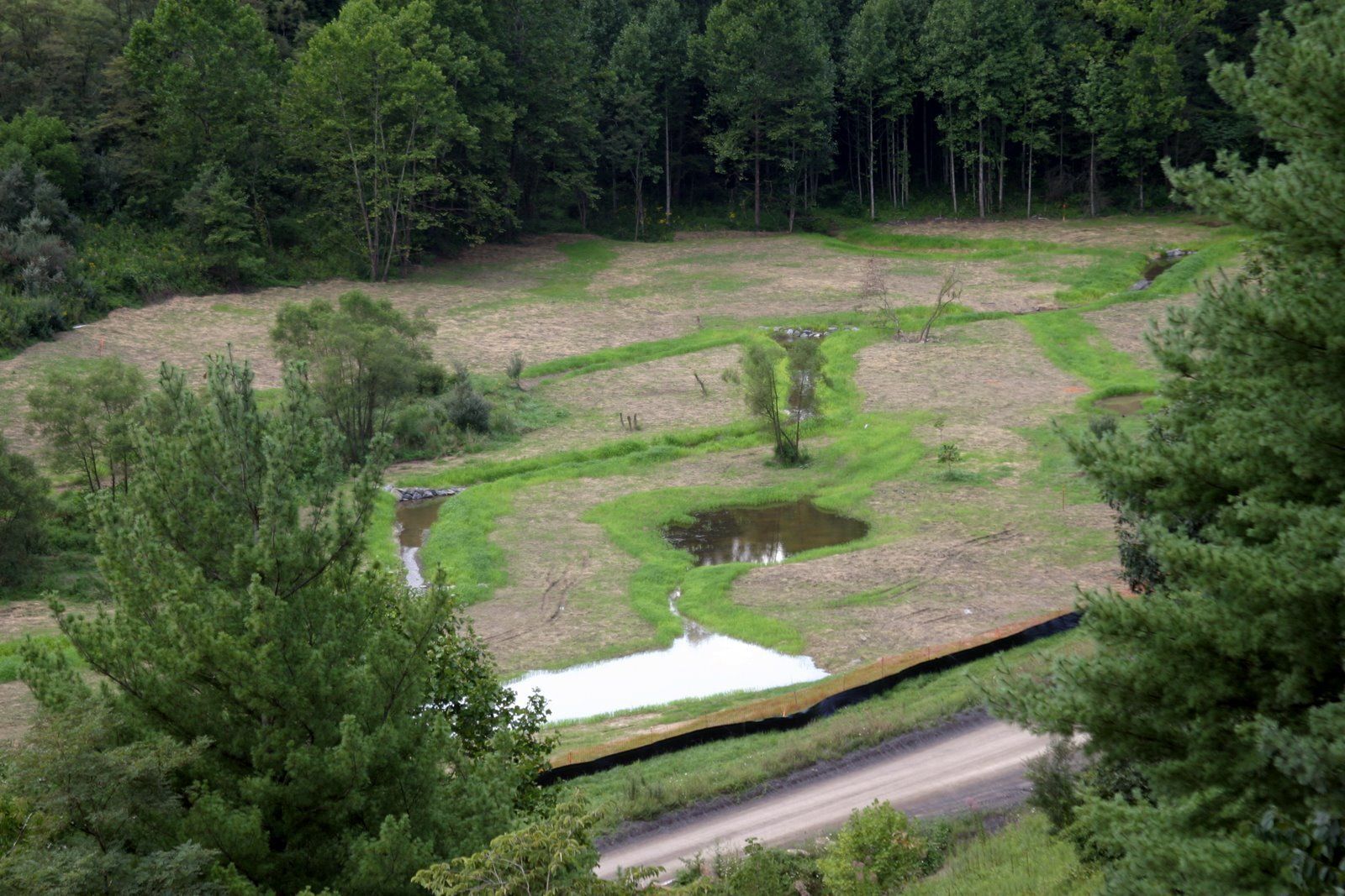 There is a small pond in the middle of a field surrounded by trees.