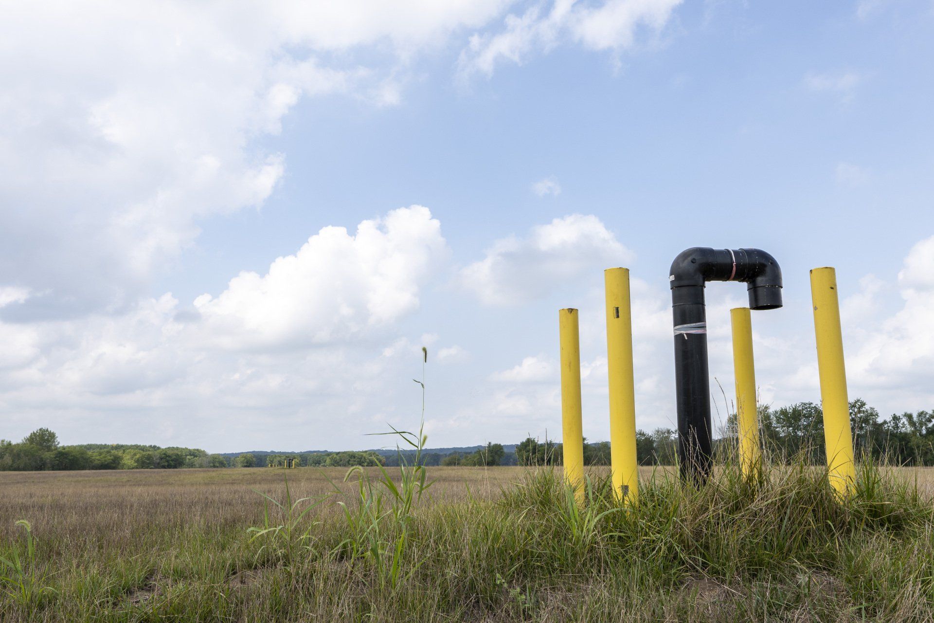 A field with yellow poles and black pipes in the middle of it.