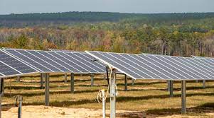 A row of solar panels in a field with trees in the background.