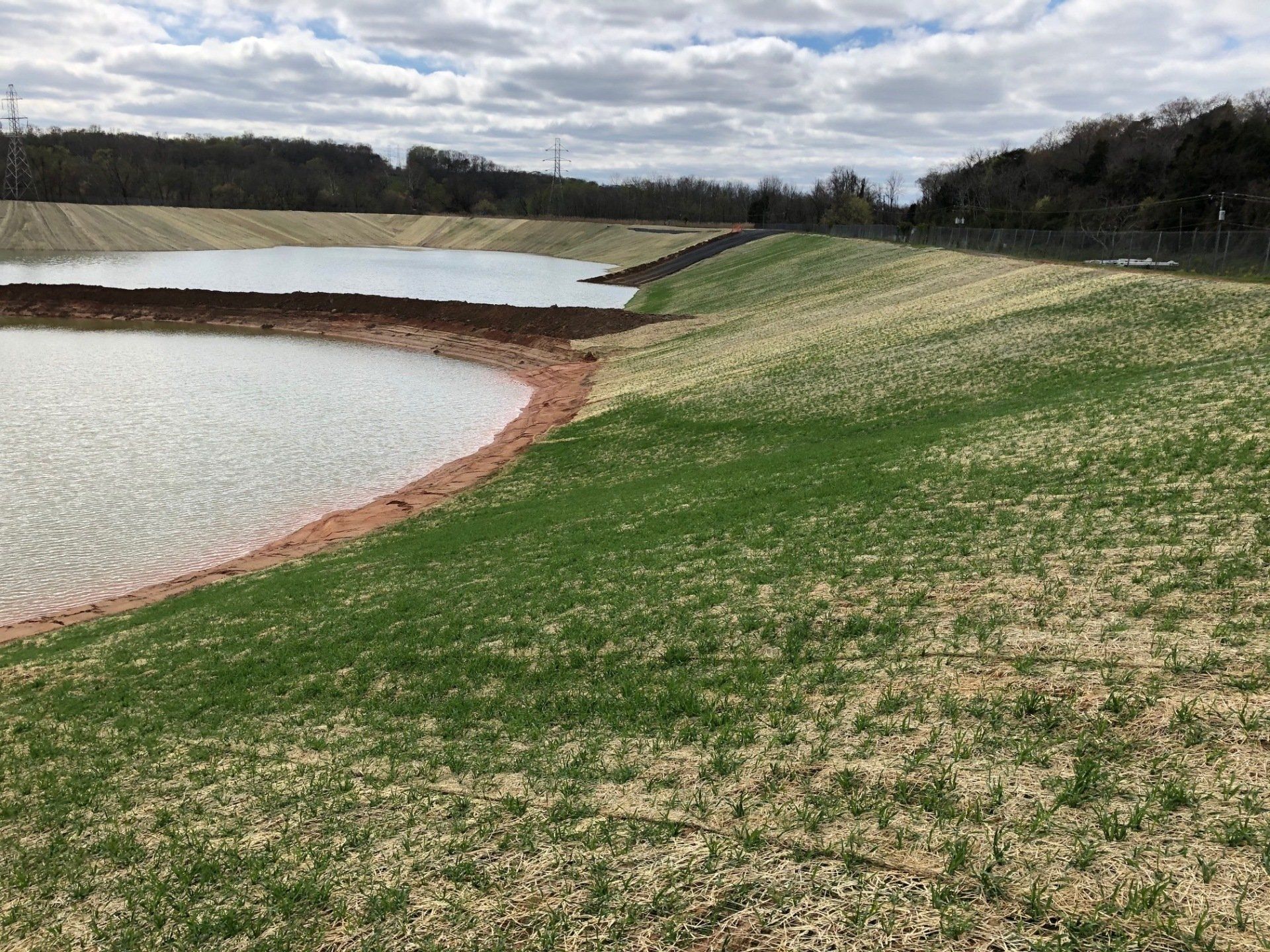 A large body of water surrounded by grass and trees.
