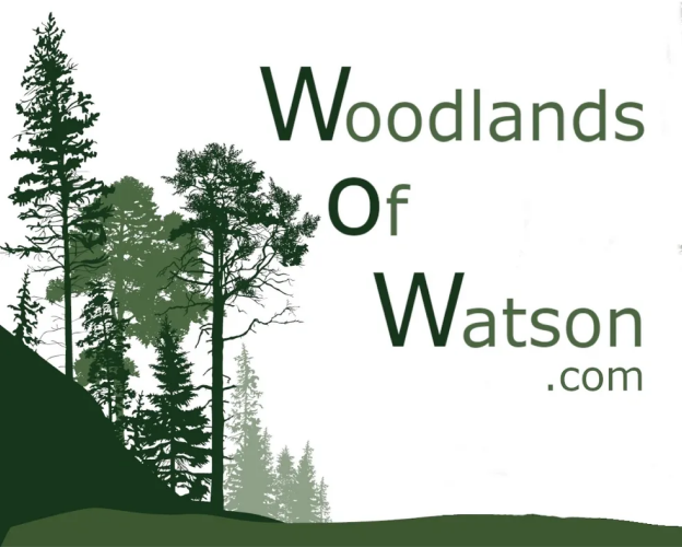 Land For Sale Watson, Oklahoma Woodlands of Watson