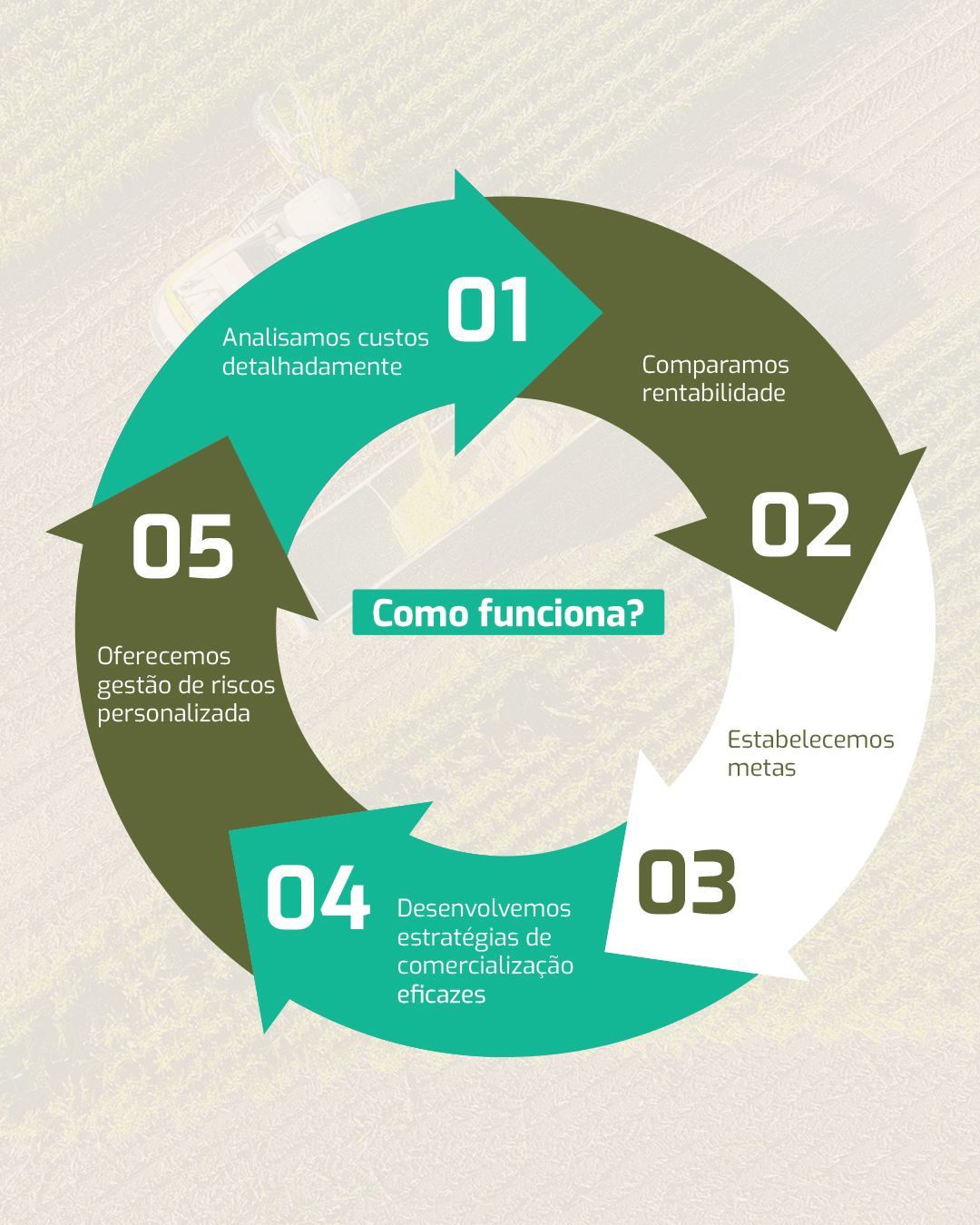 Metodologia Biond