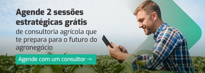 Fale com um consultor