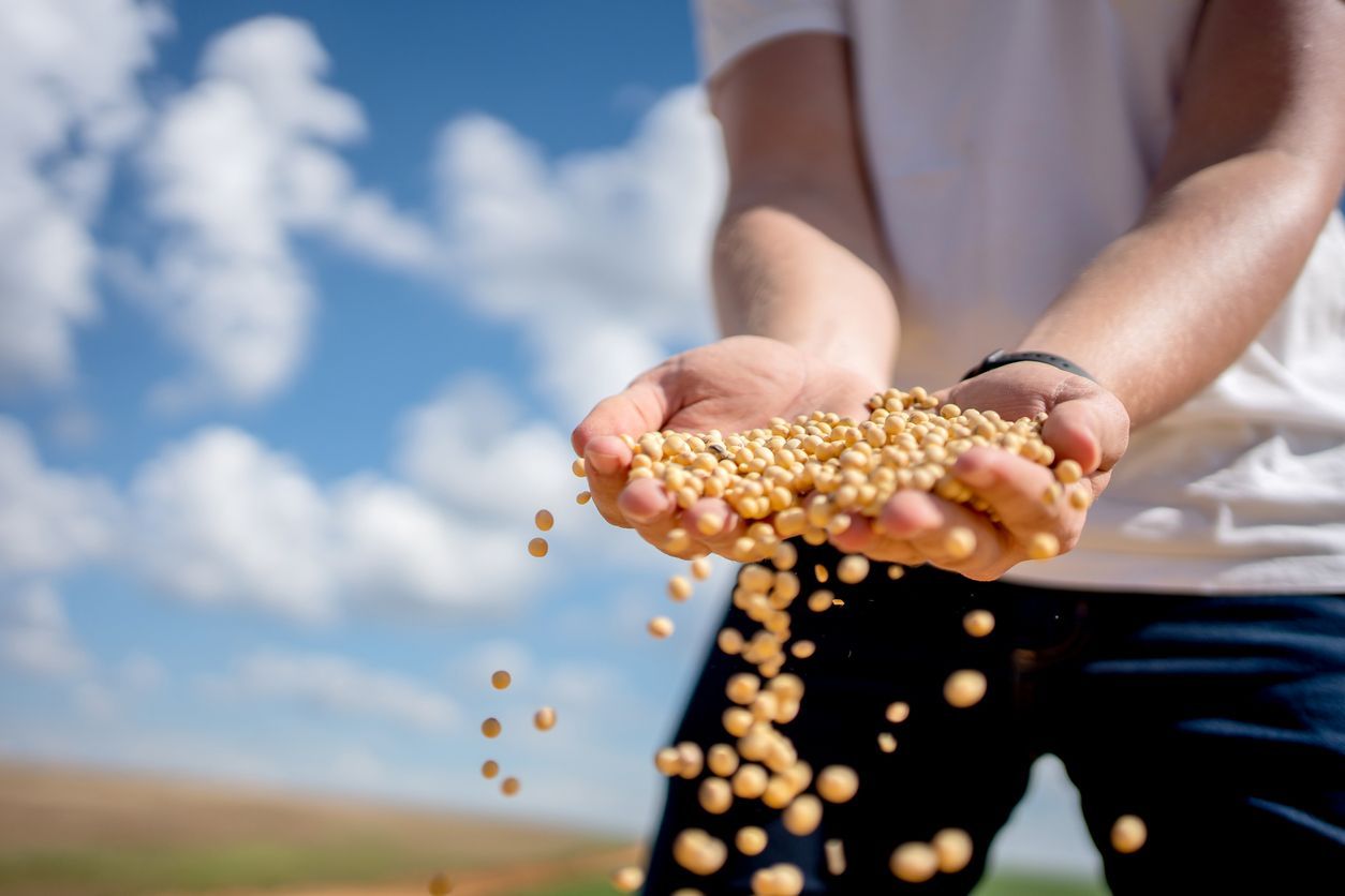 Informações estratégicas para o agronegócio