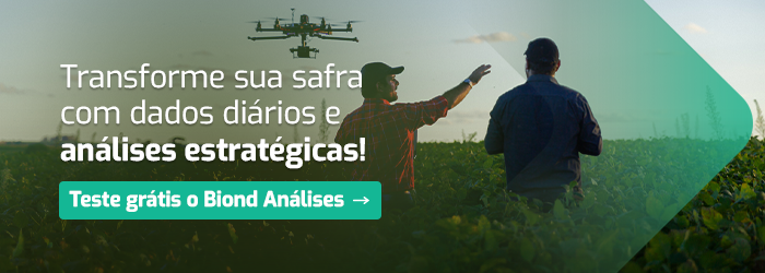 Homens em uma plantação rural