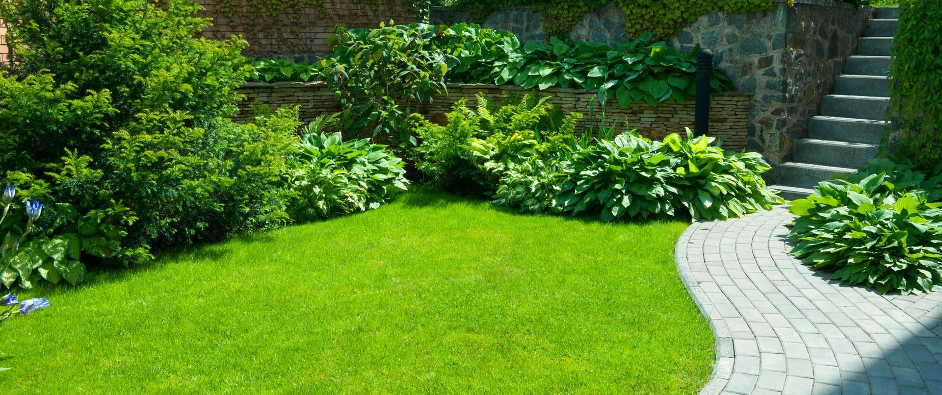 Detail of a botanical garden