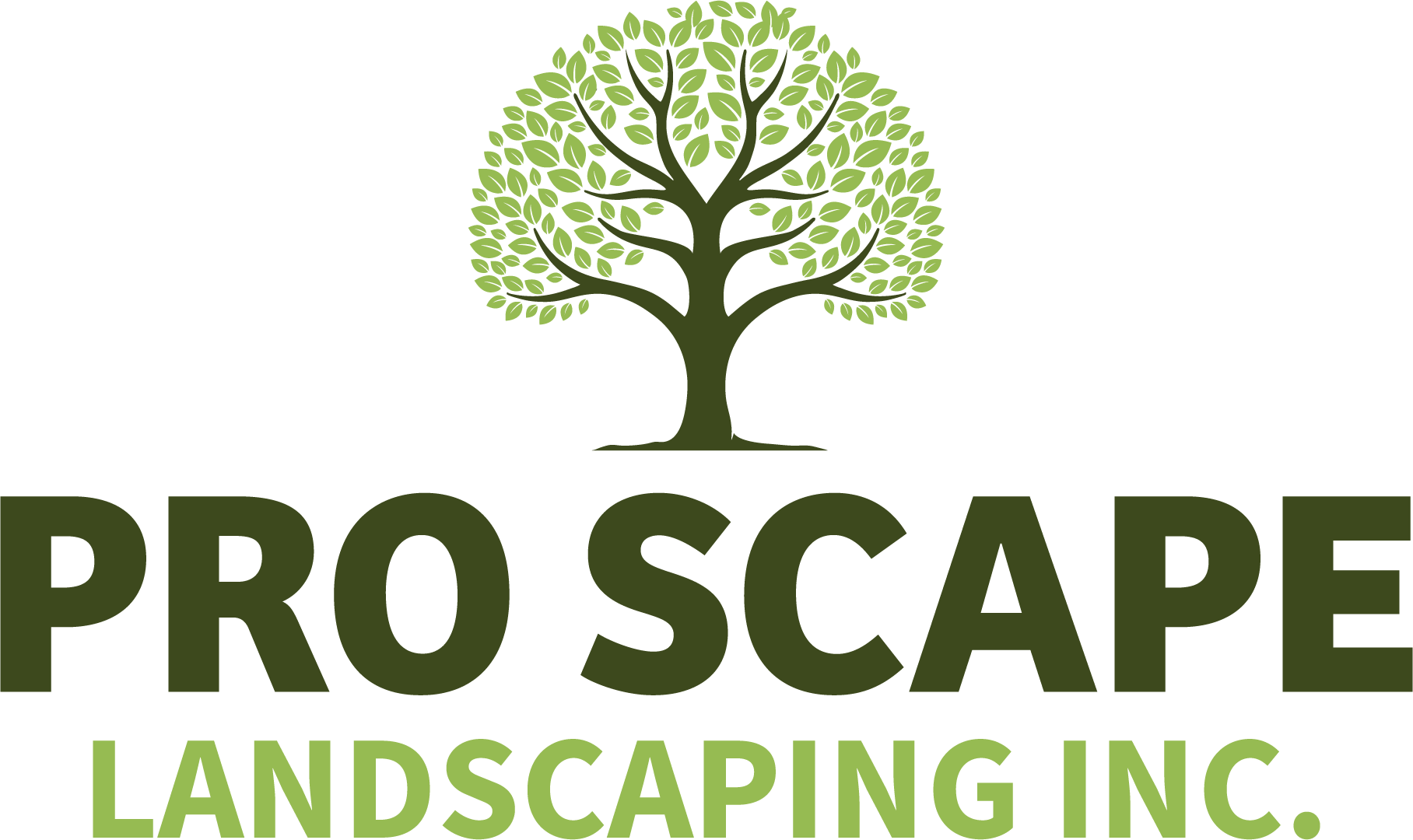 Landscape Design & Lawn Care in Southern California Pro Scape