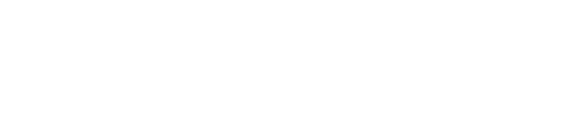 Website Designed by Now Ahead Digital Marketing Logo