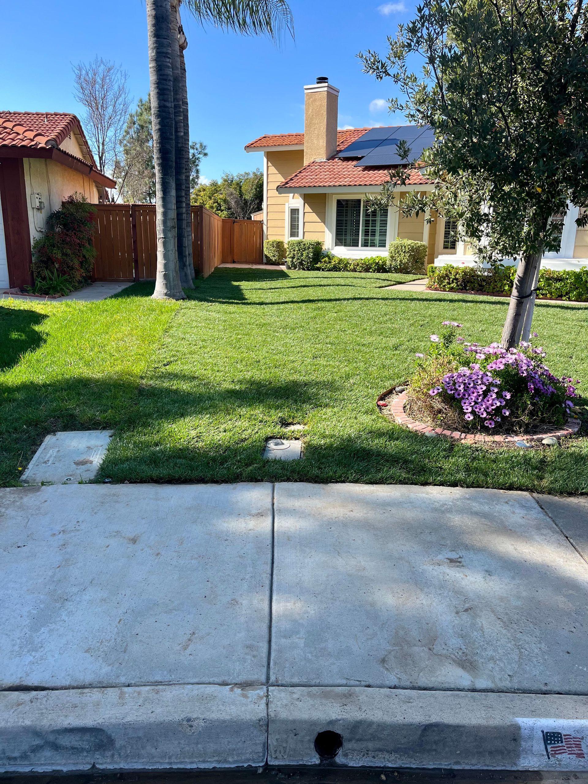 Weed-Infested Lawn Removal & New Sod Installation in Temecula, CA