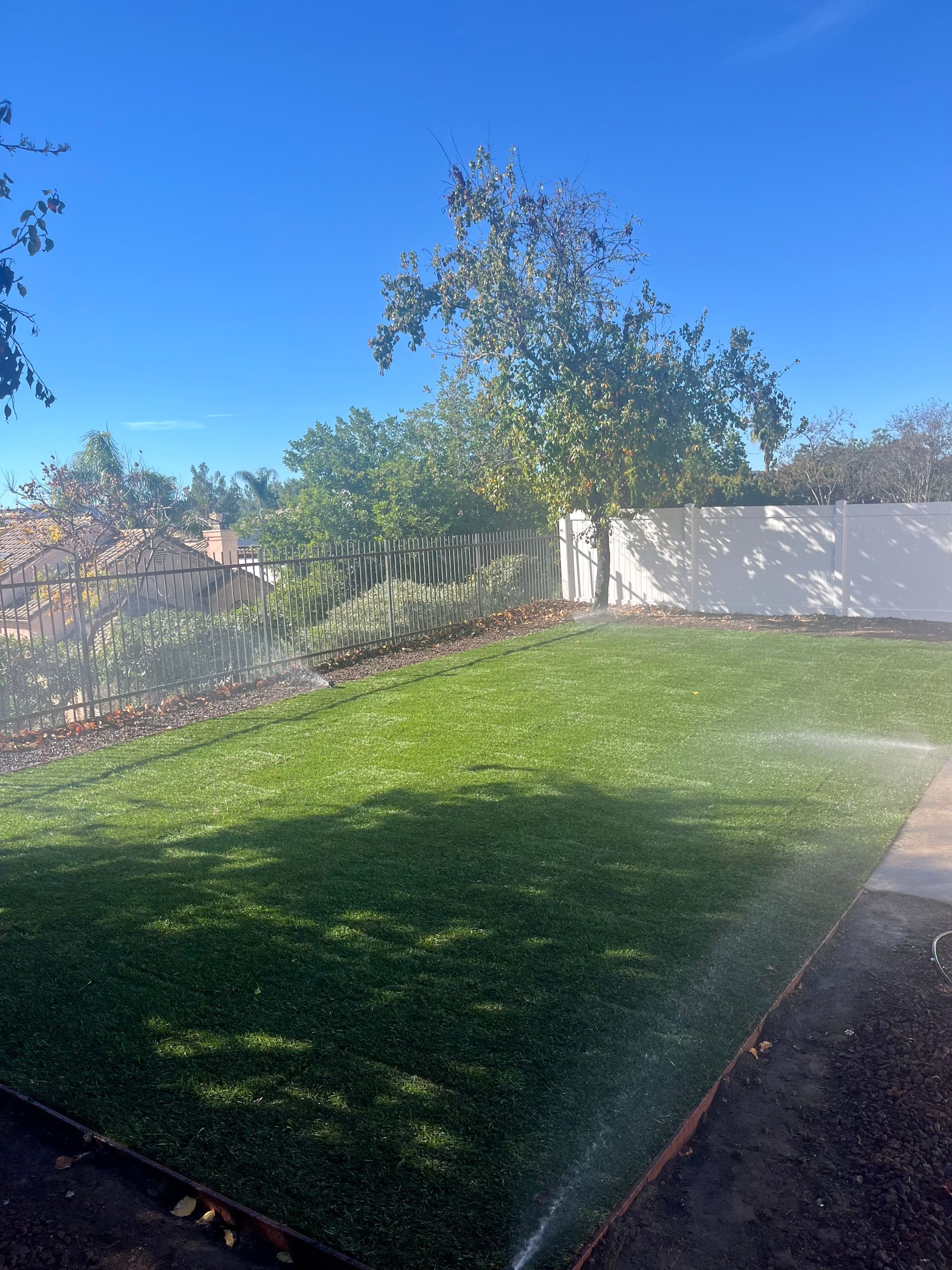 Dried Grass Removal & Installation of New Sod with Adjustments of Sprinklers Irrigation in Murrieta, CA