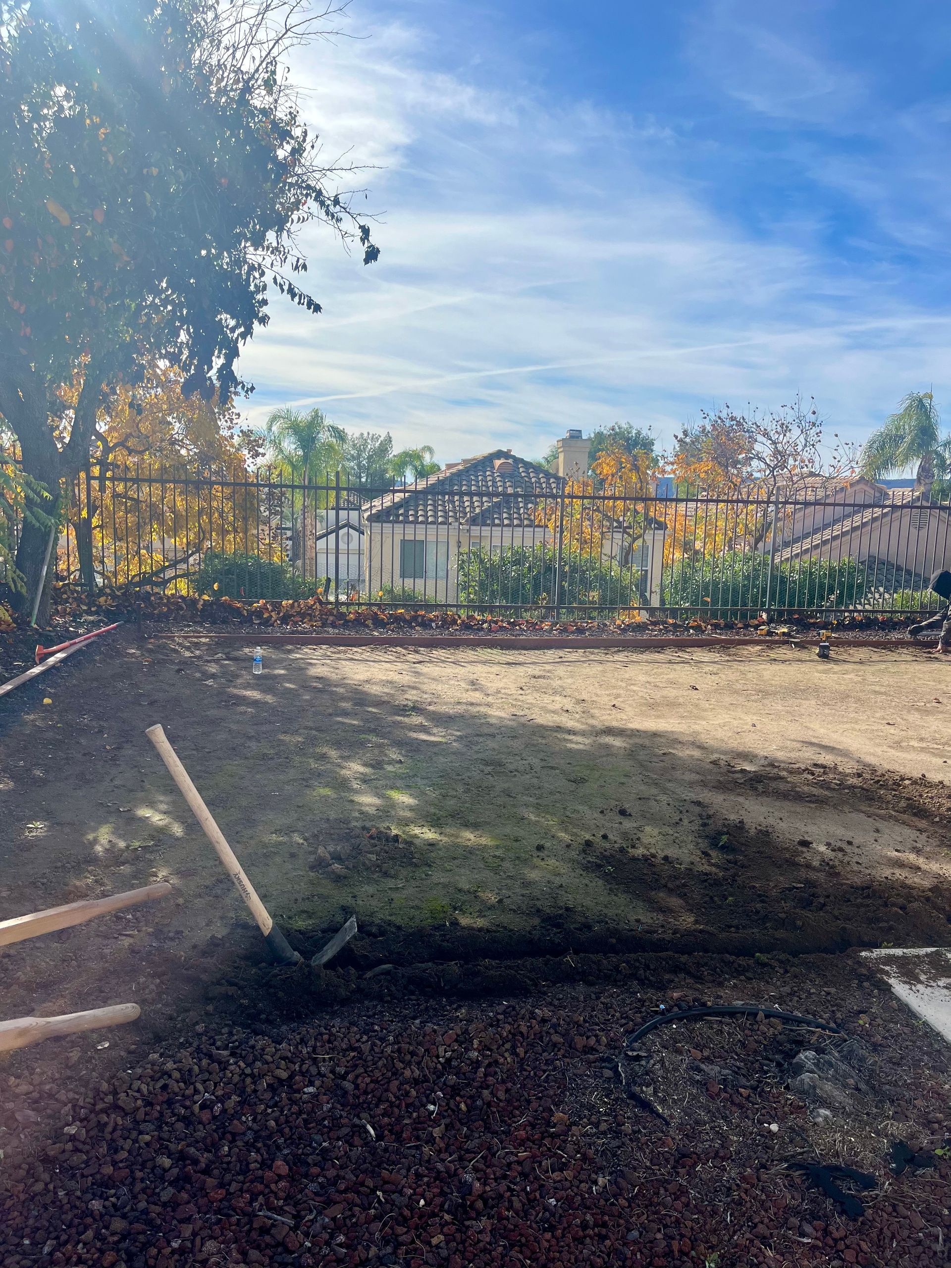 Sunny outdoor yard with trees, fence, and a dirt ground under a blue sky