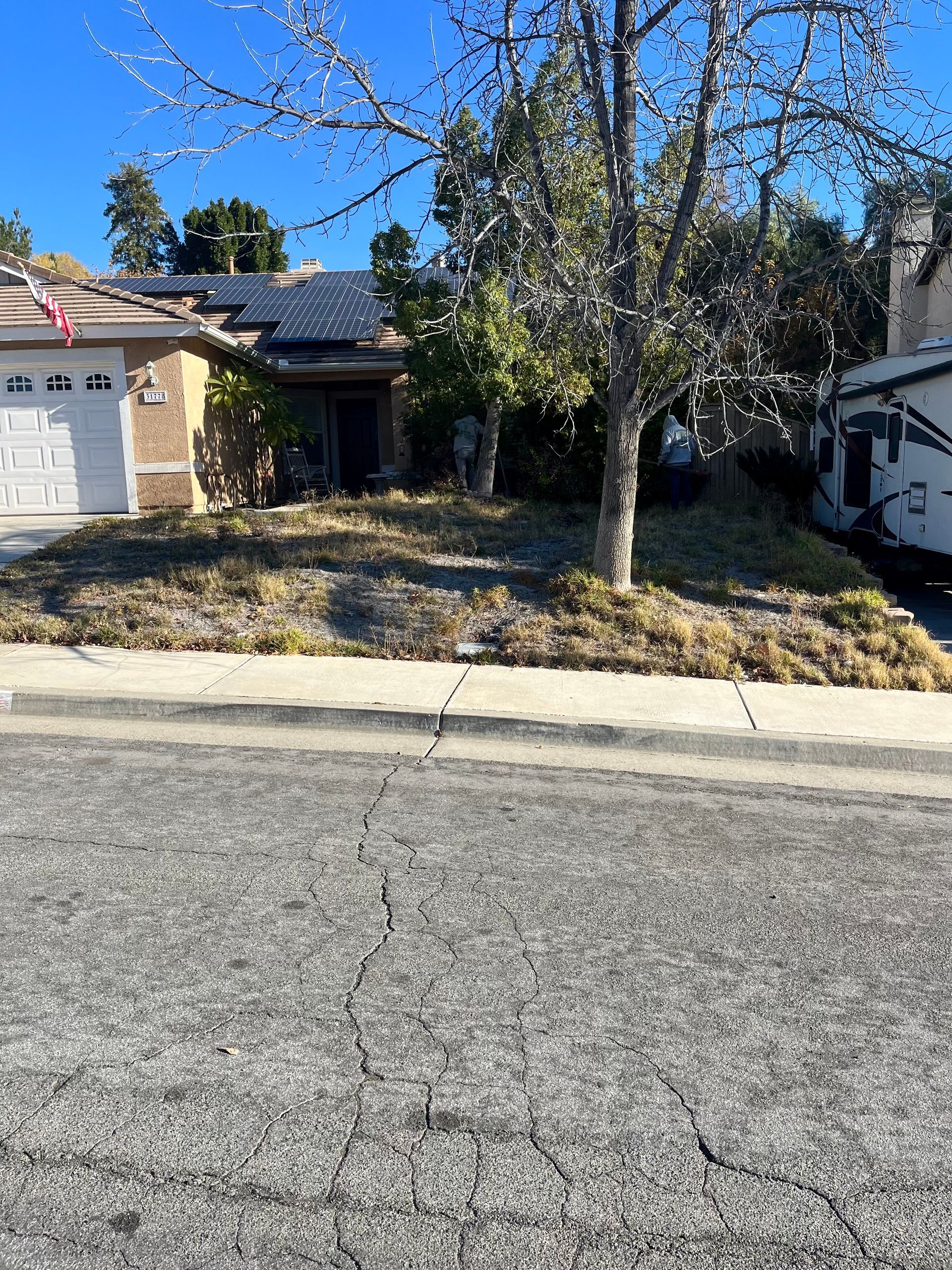 A house is sitting on the side of the road next to a tree.