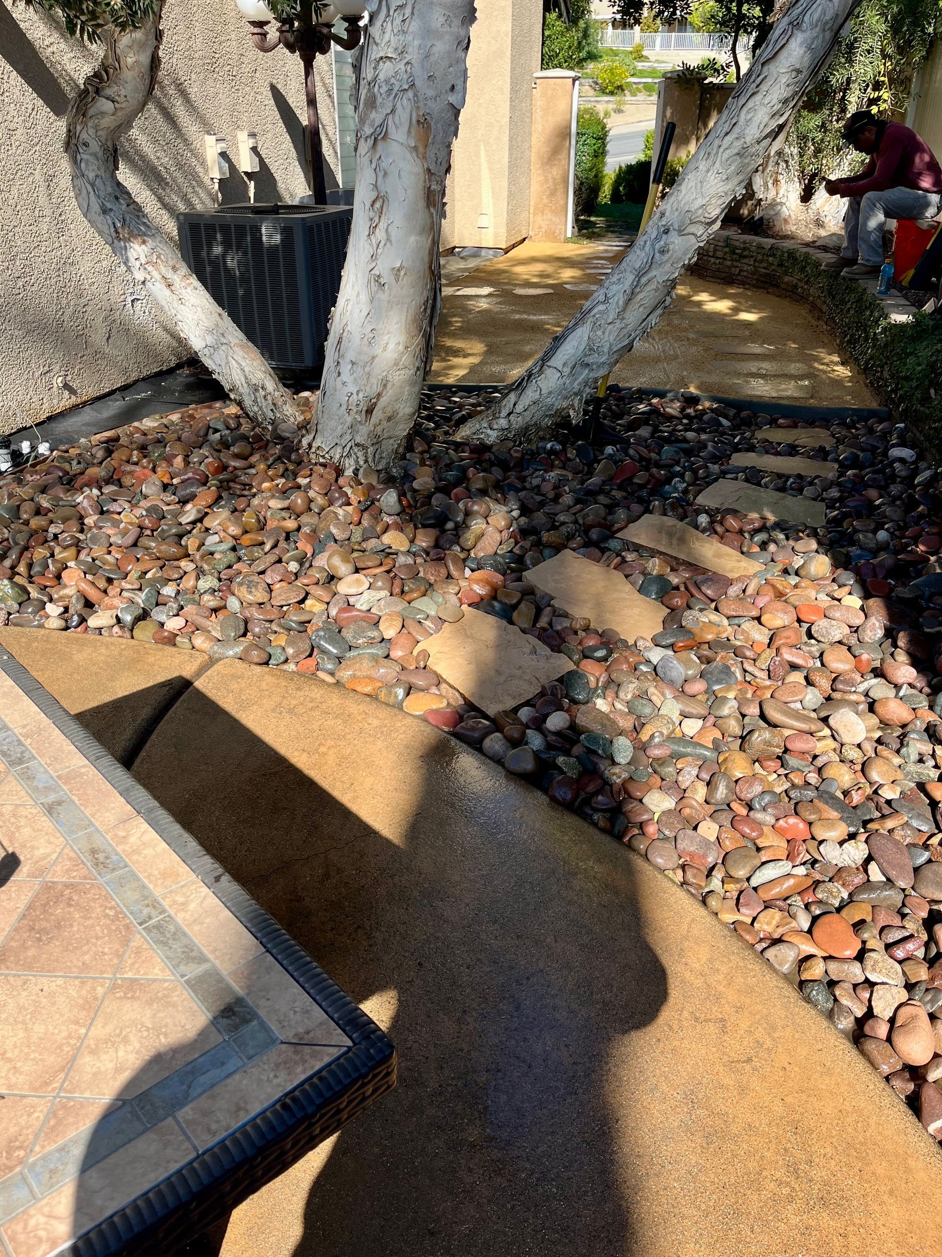 Landscape Design & Concrete Curbing in West Murrieta, CA