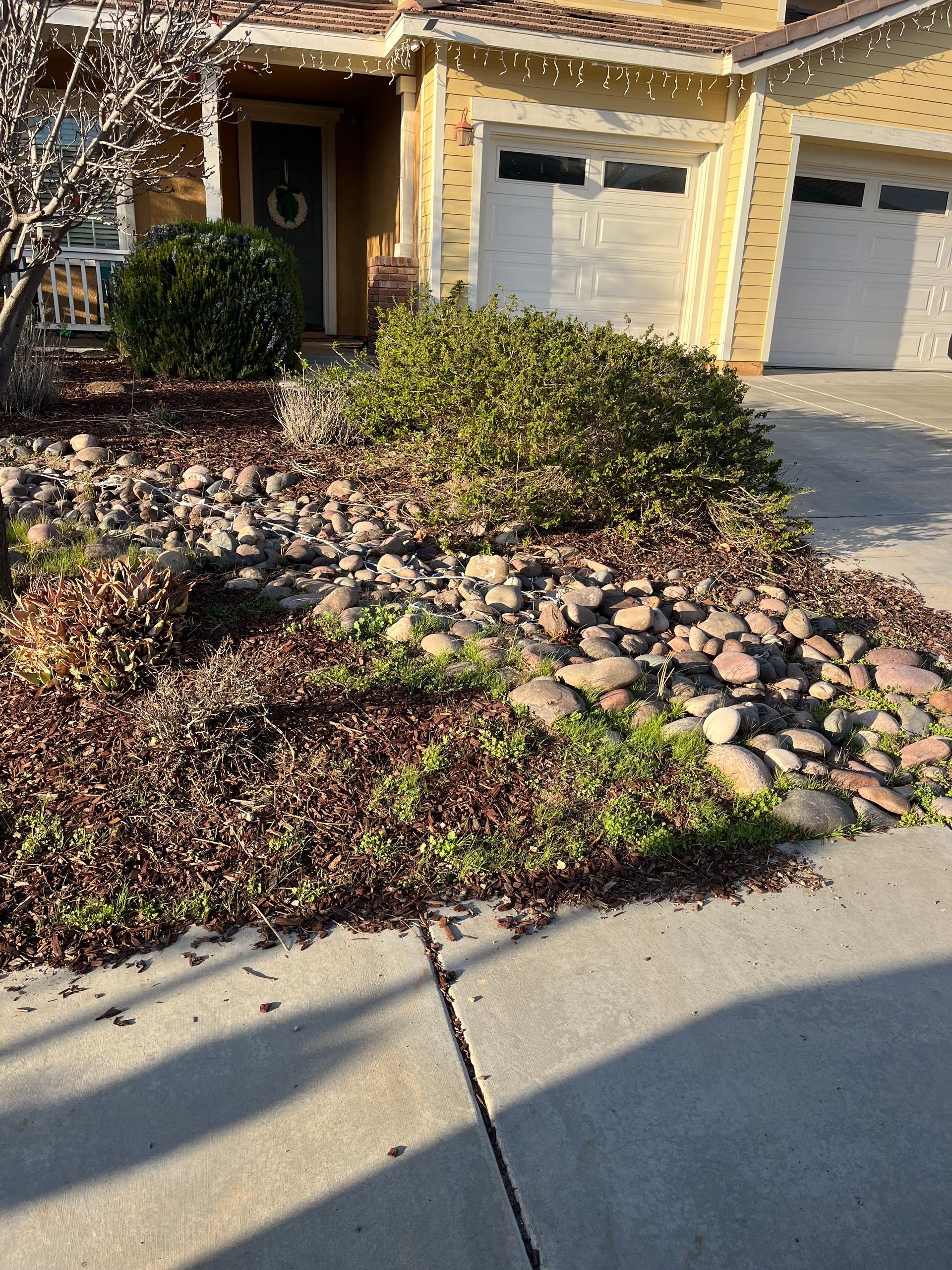 Front yard with desert landscaping, shrubs, rocks, and a house with a garage driveway.