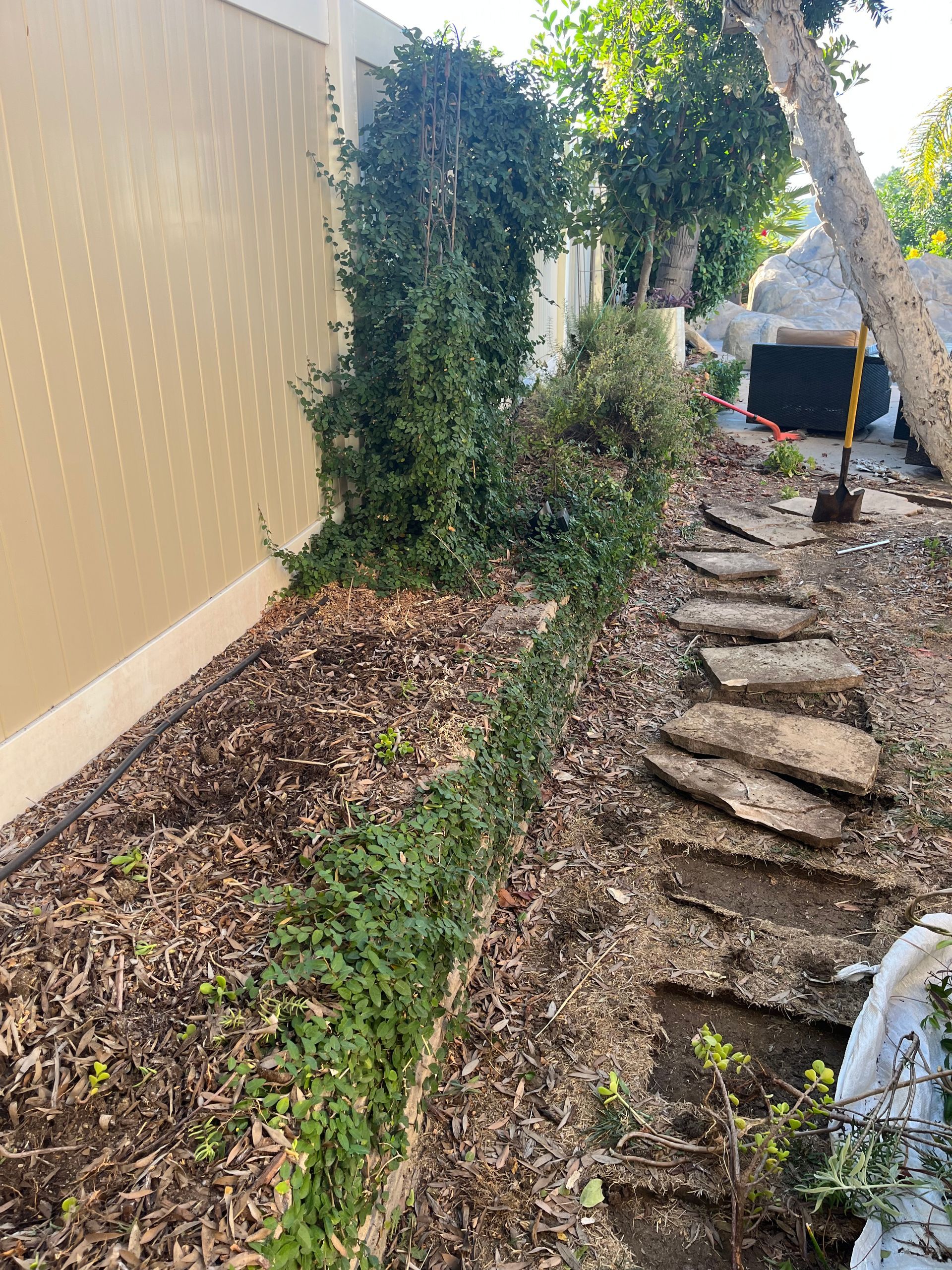 a stone path leading to a tree in a backyard .