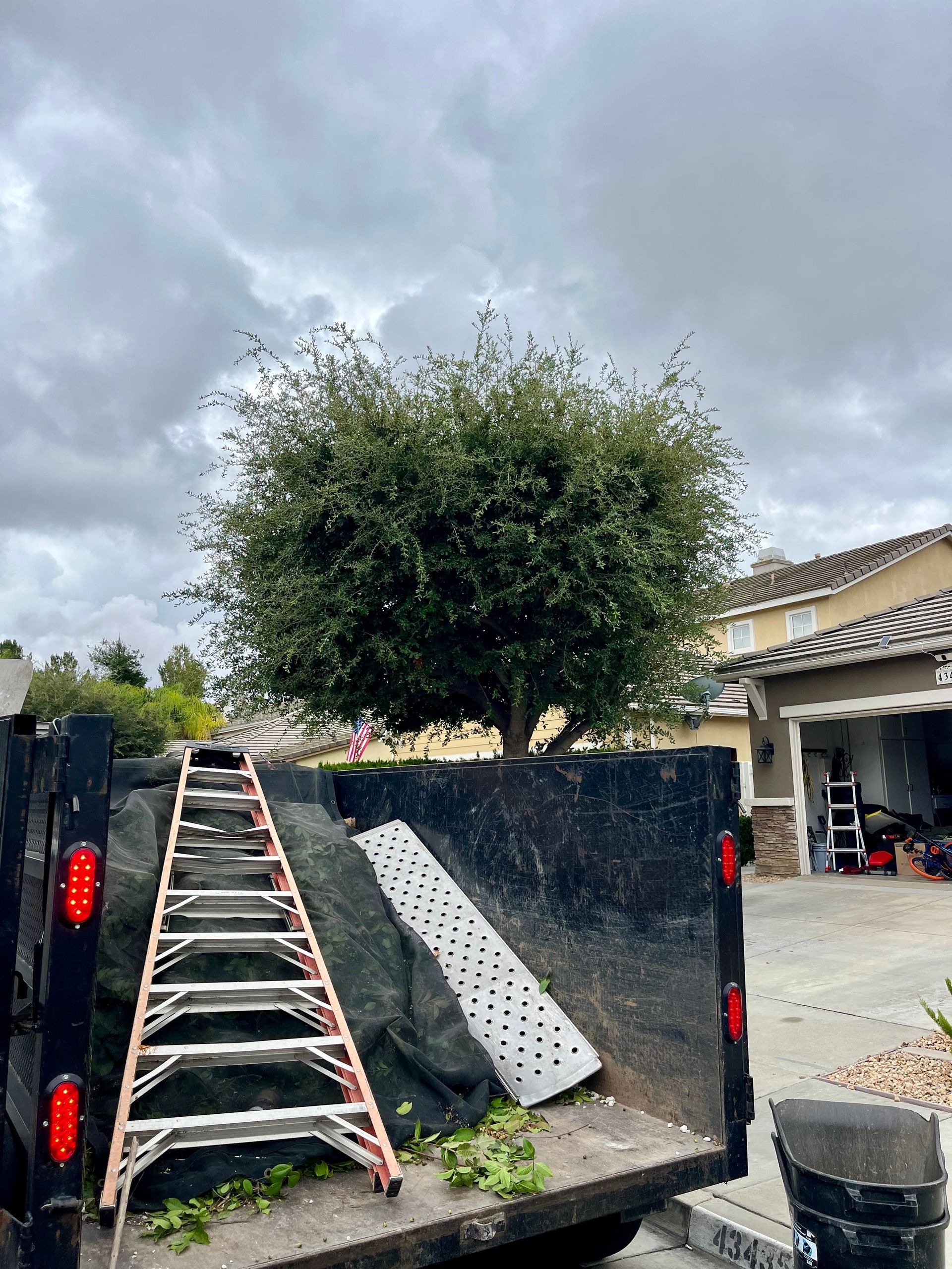 a ladder is sitting on the back of a trailer next to a tree .
