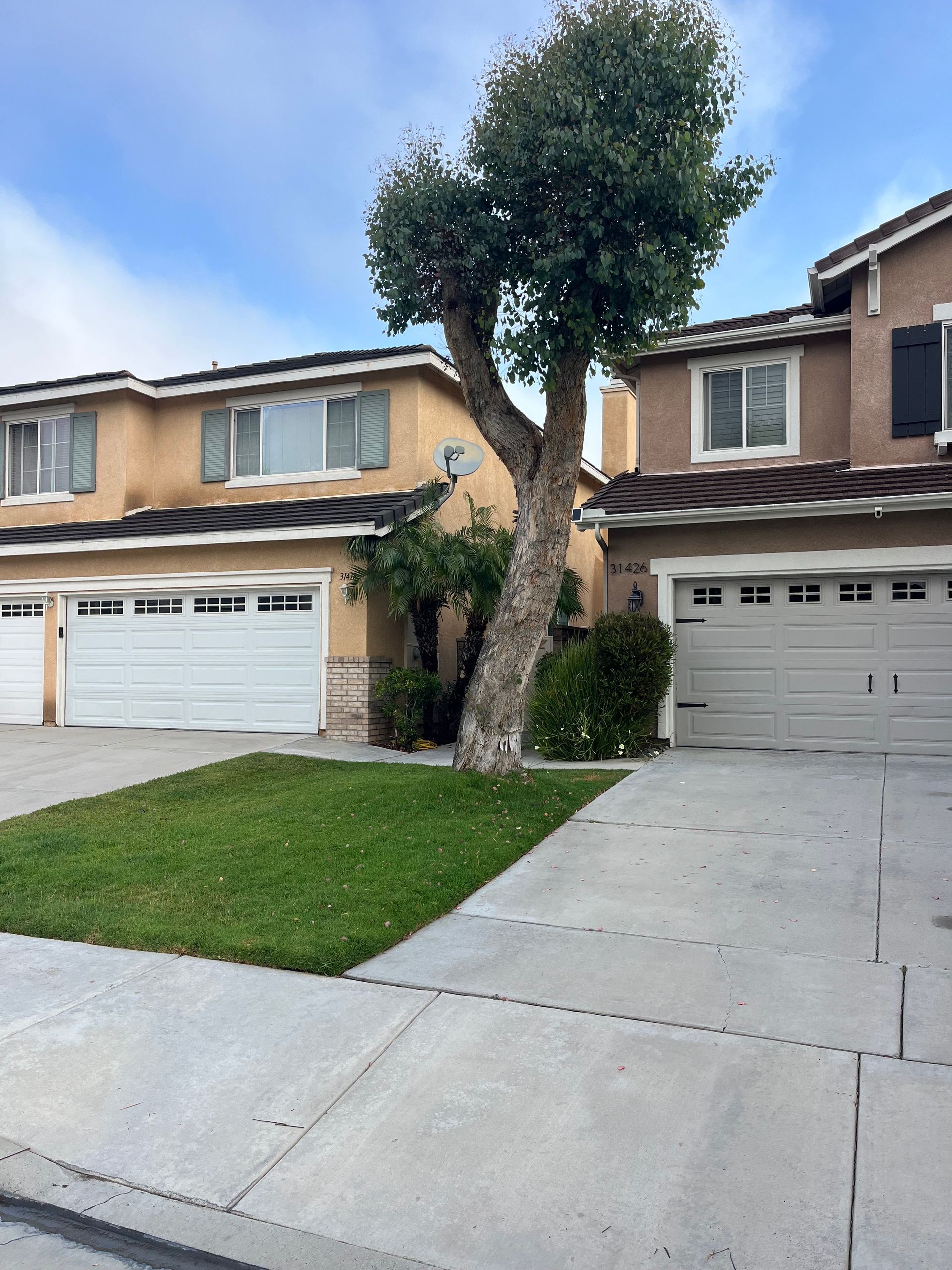 Two-story suburban townhouses with garages, driveway, and a tree in the front yard