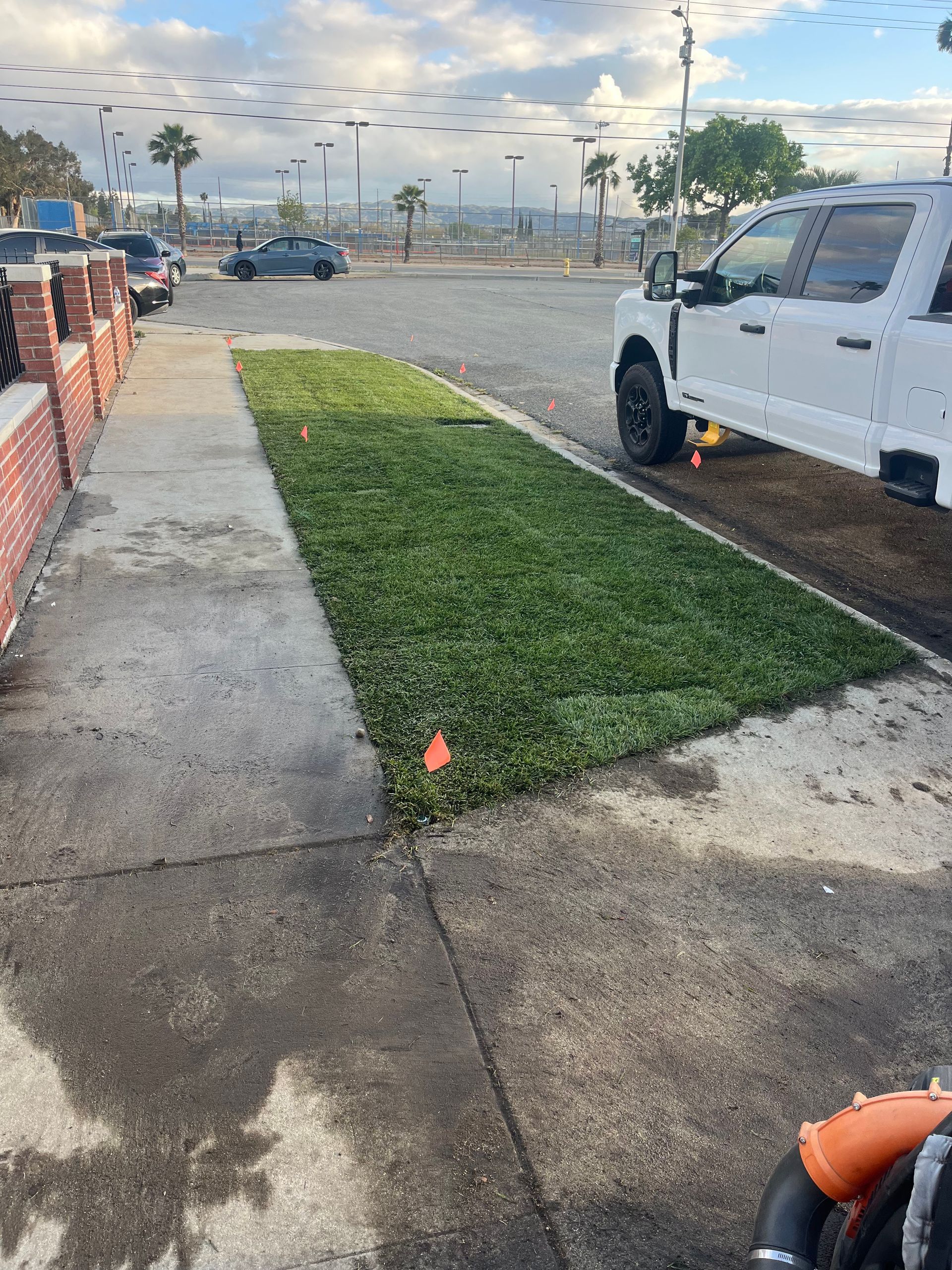 Sidewalk beside a grassy parking strip with a white truck parked on the right and cars in the distance.