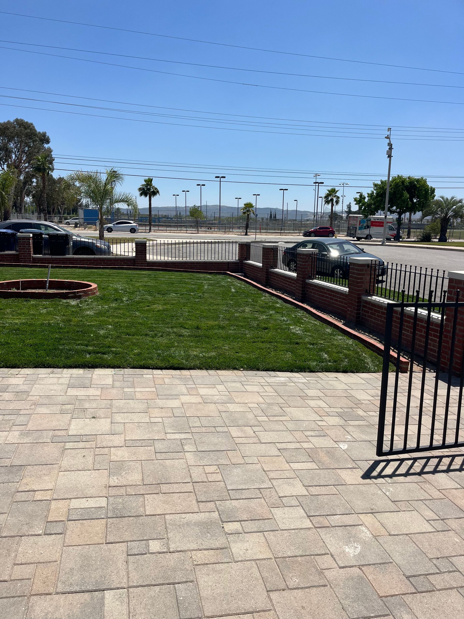 Sunlit courtyard with stone patio, grass lawn, metal fence, parked cars, and strings of birds overhead.