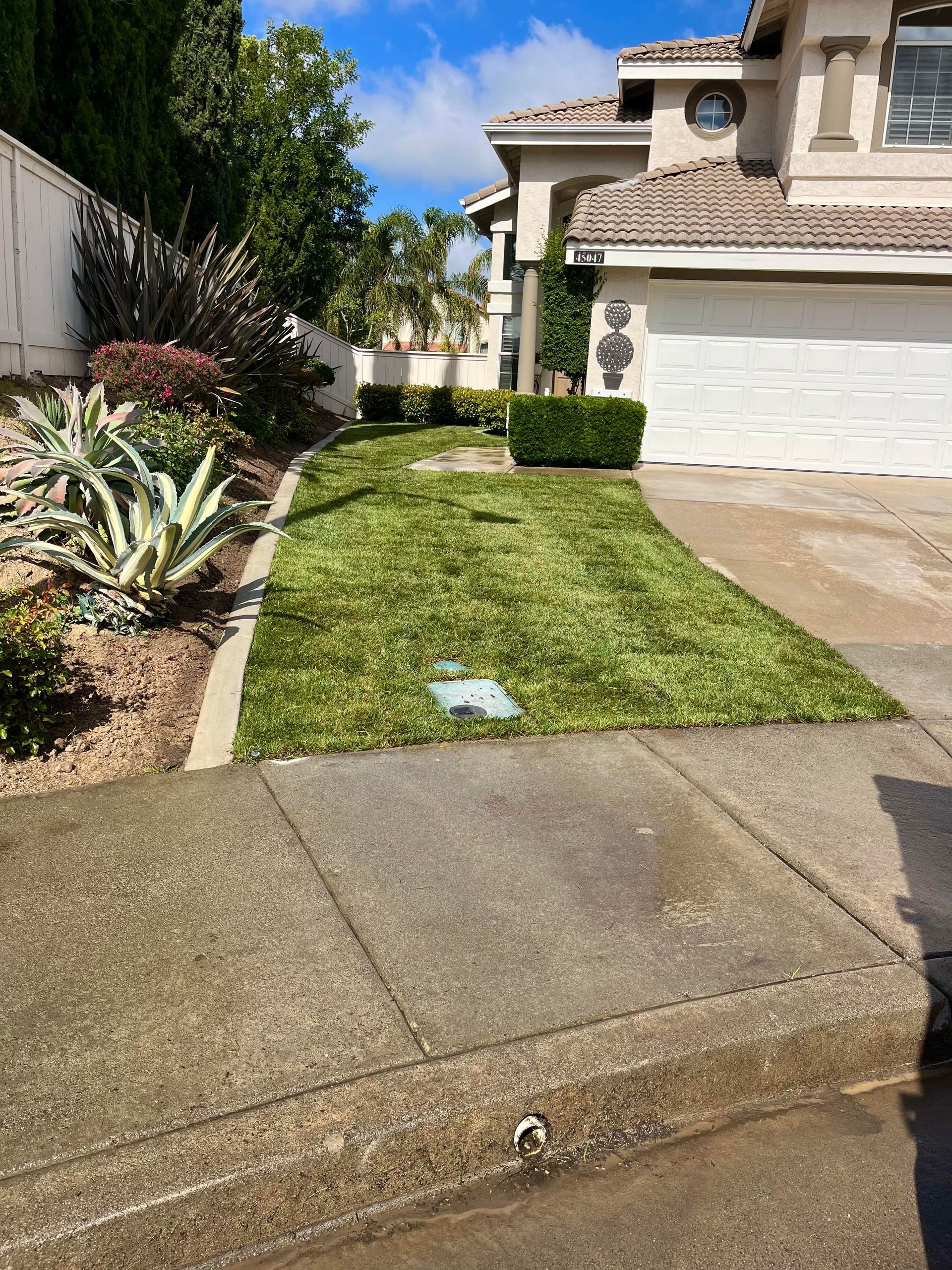 Landscaping Upgrade with Sod Installation & Concrete Edging in Temecula, CA