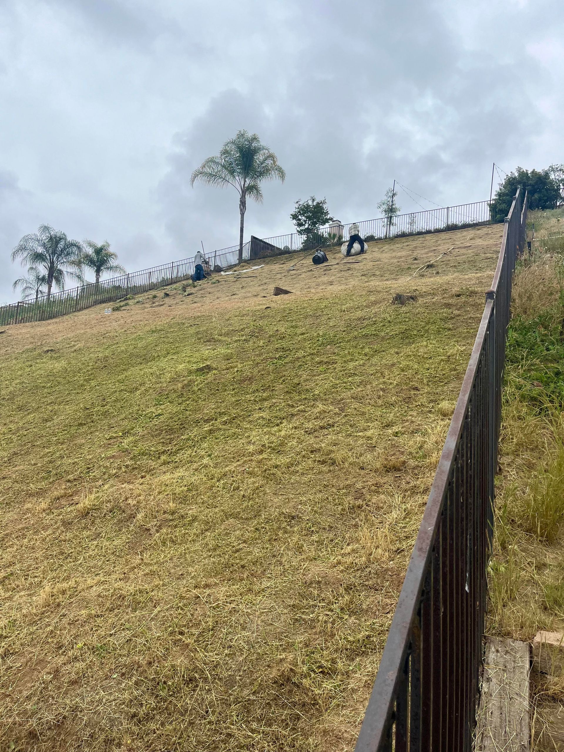 Backyard Hillside Cleanup in Murrieta, CA