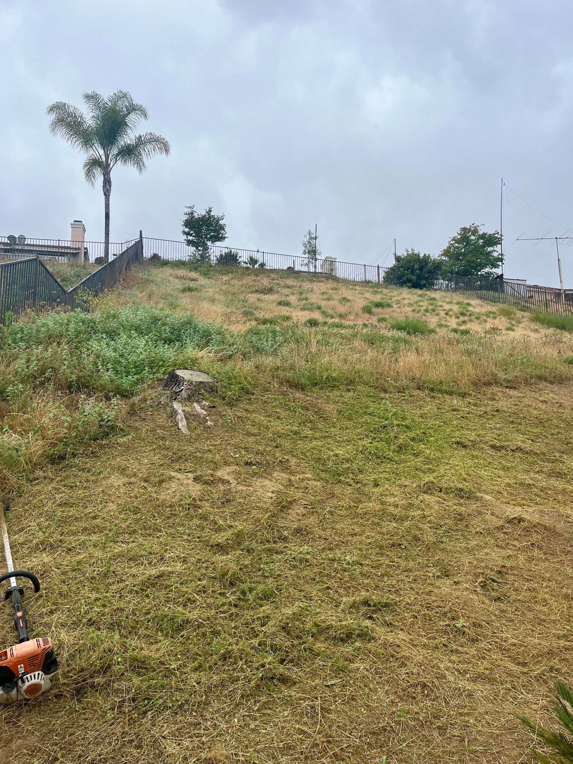 A lawn mower is sitting on top of a grassy hill.