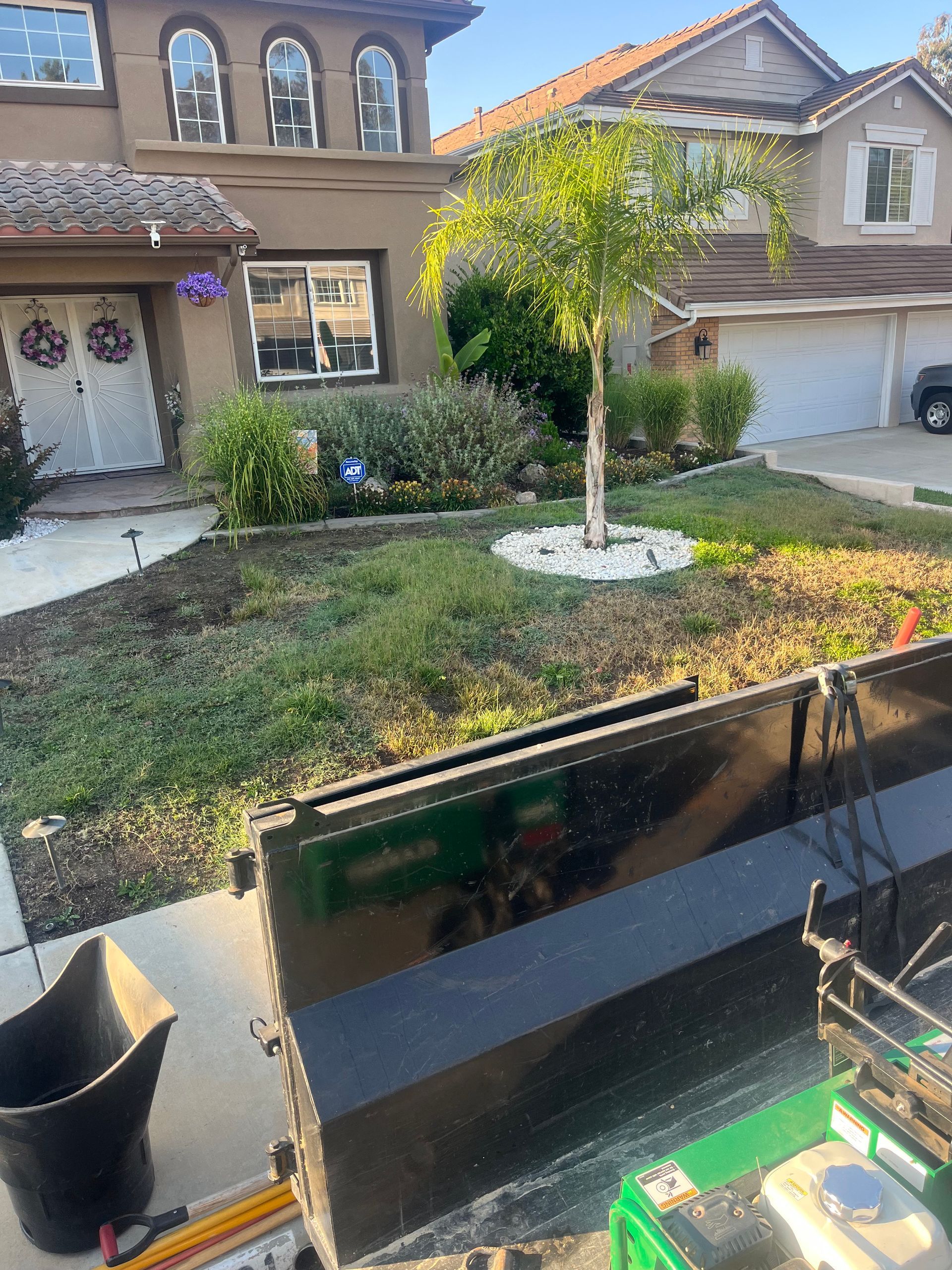 Suburban front yard with a small tree, sidewalk.