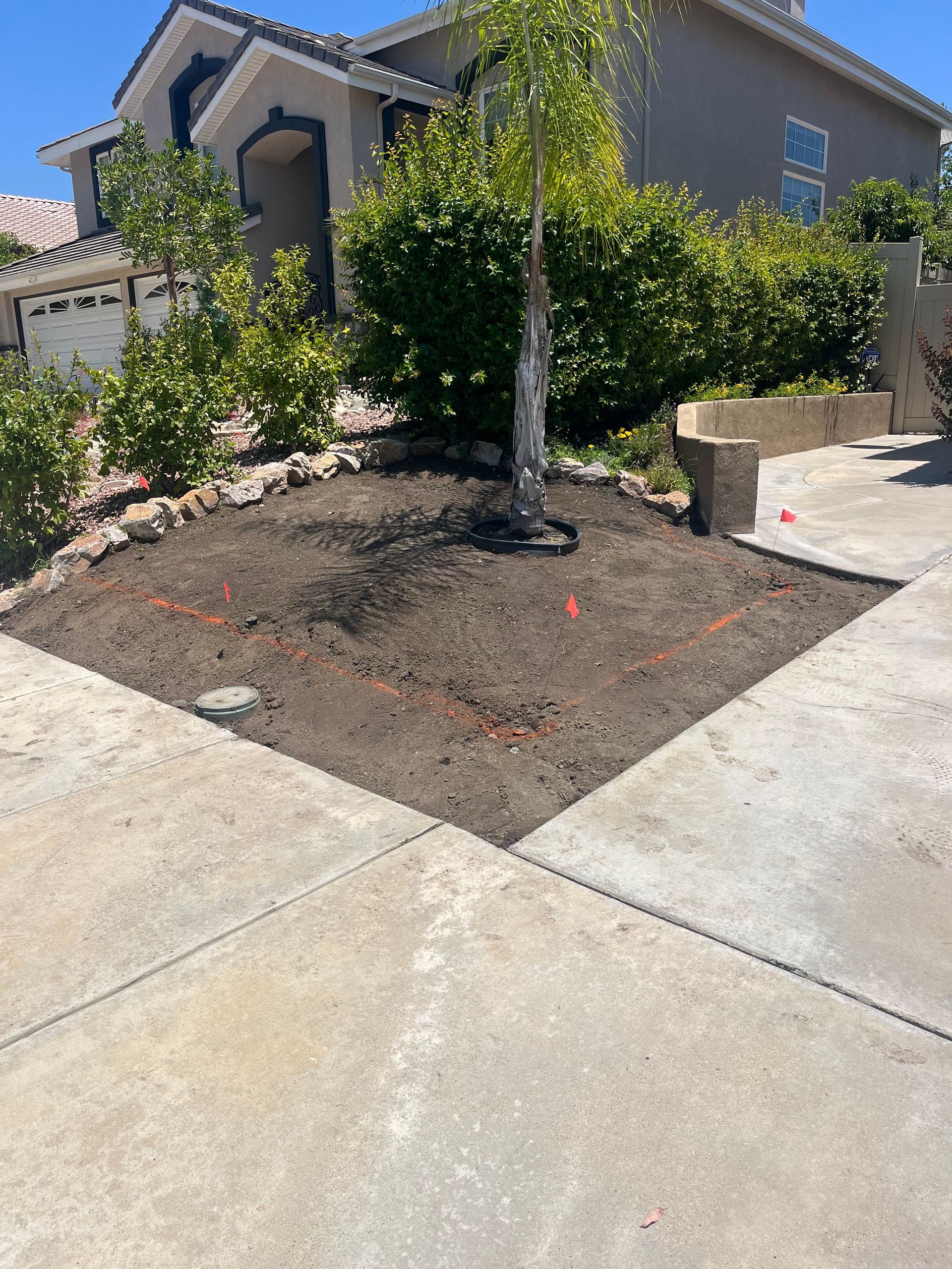 Front yard with a young tree, mulch bed, concrete driveway, and a stucco house in the background