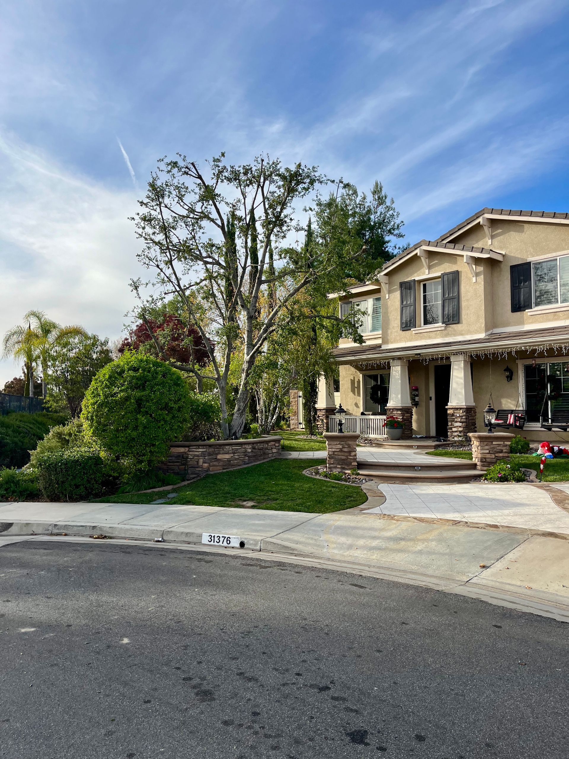 Tree Trimming & Winter Thinning Service in Temecula, CA
