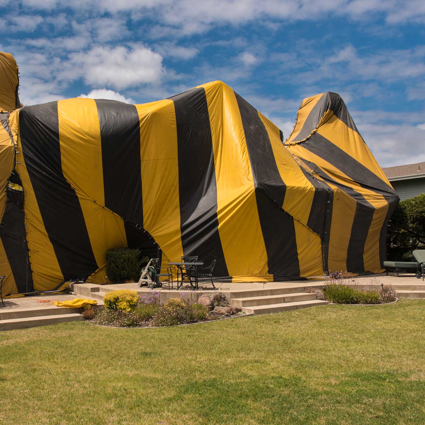 Home Fumigation | Hemphill, TX | Conn's Pest Control Home Fumigation | Hemphill, TX | Conn's Pest Control